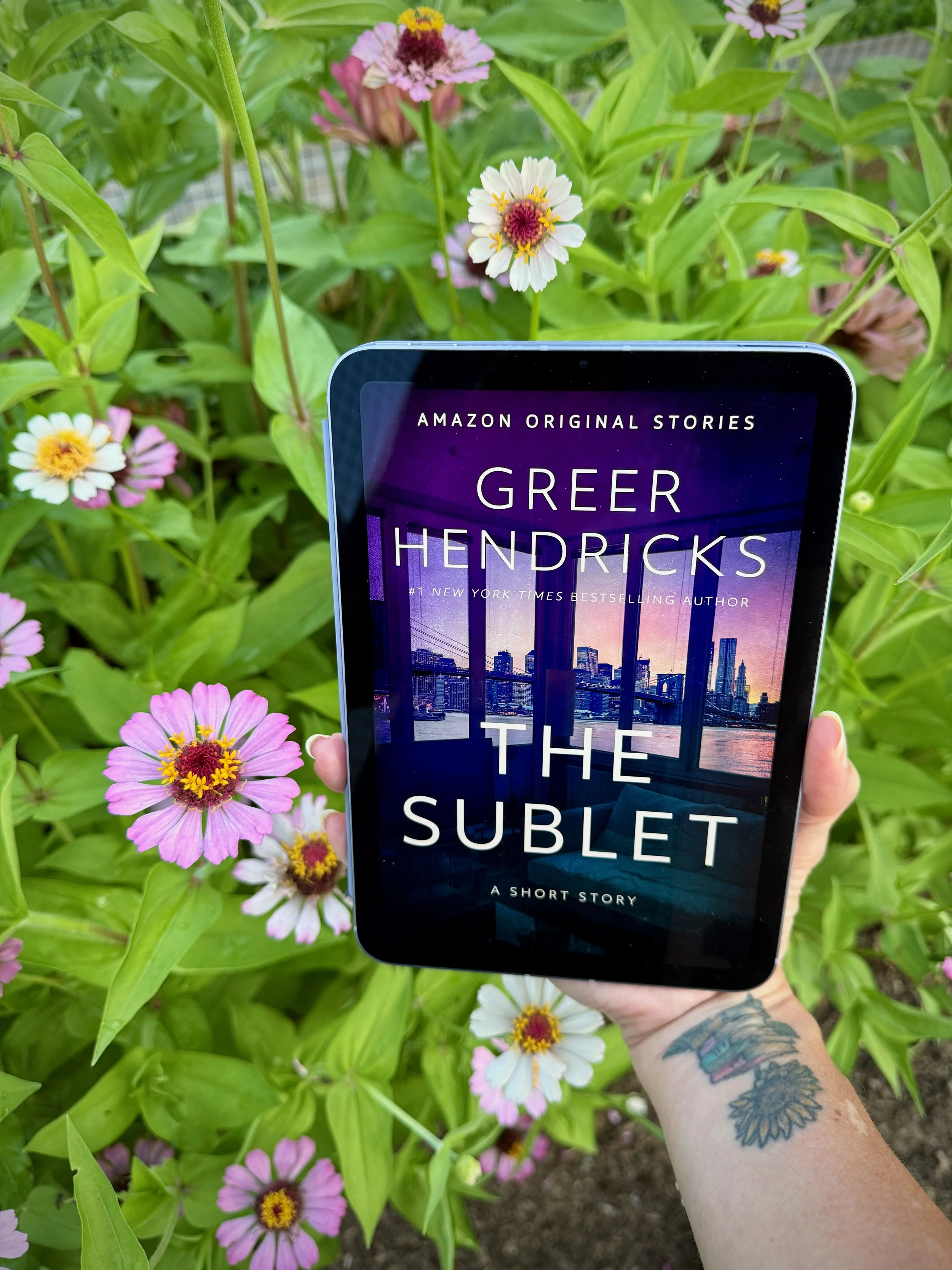 The Sublet (by Greer Hendricks)