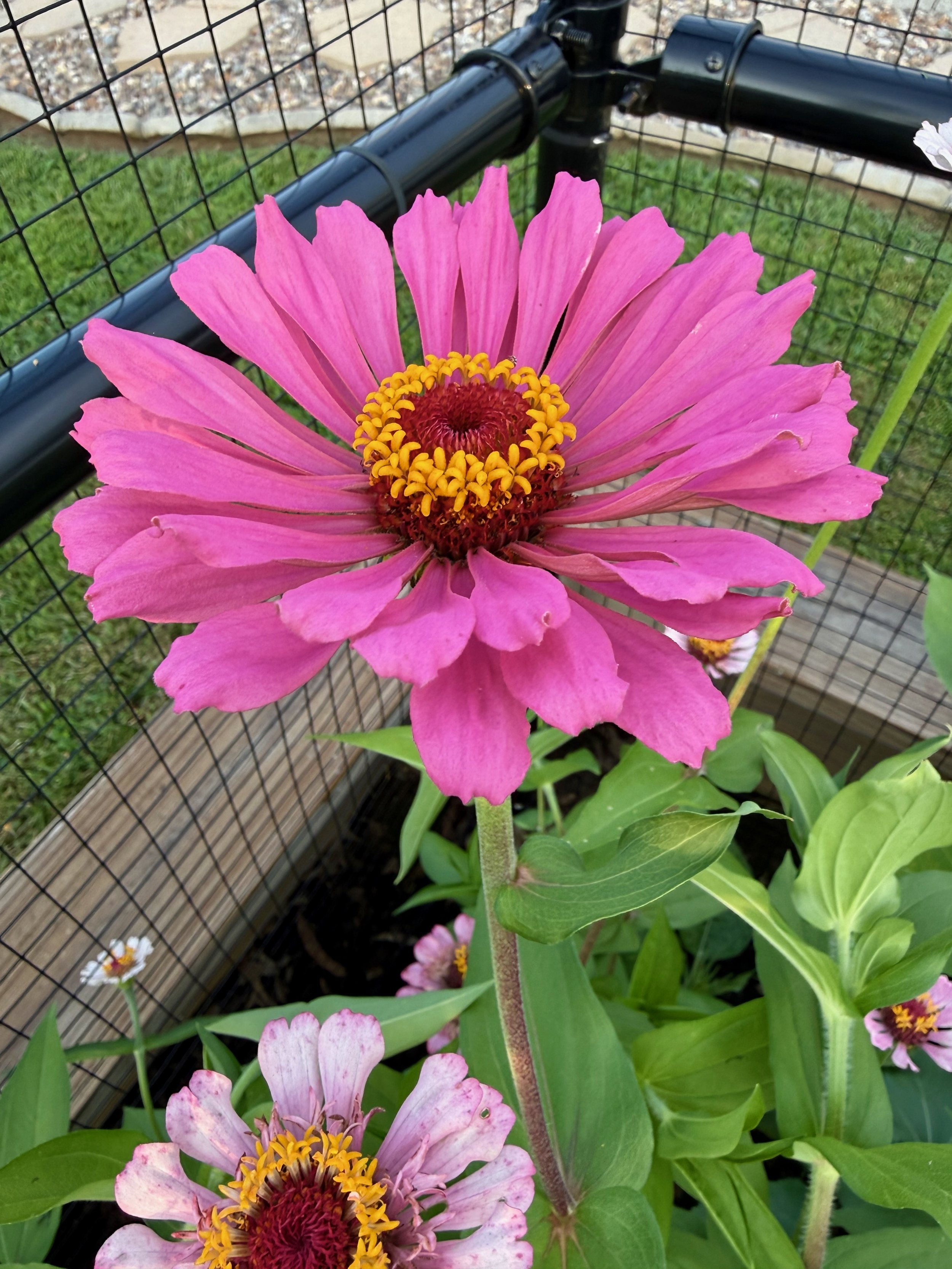 IMG_2405.jpeg