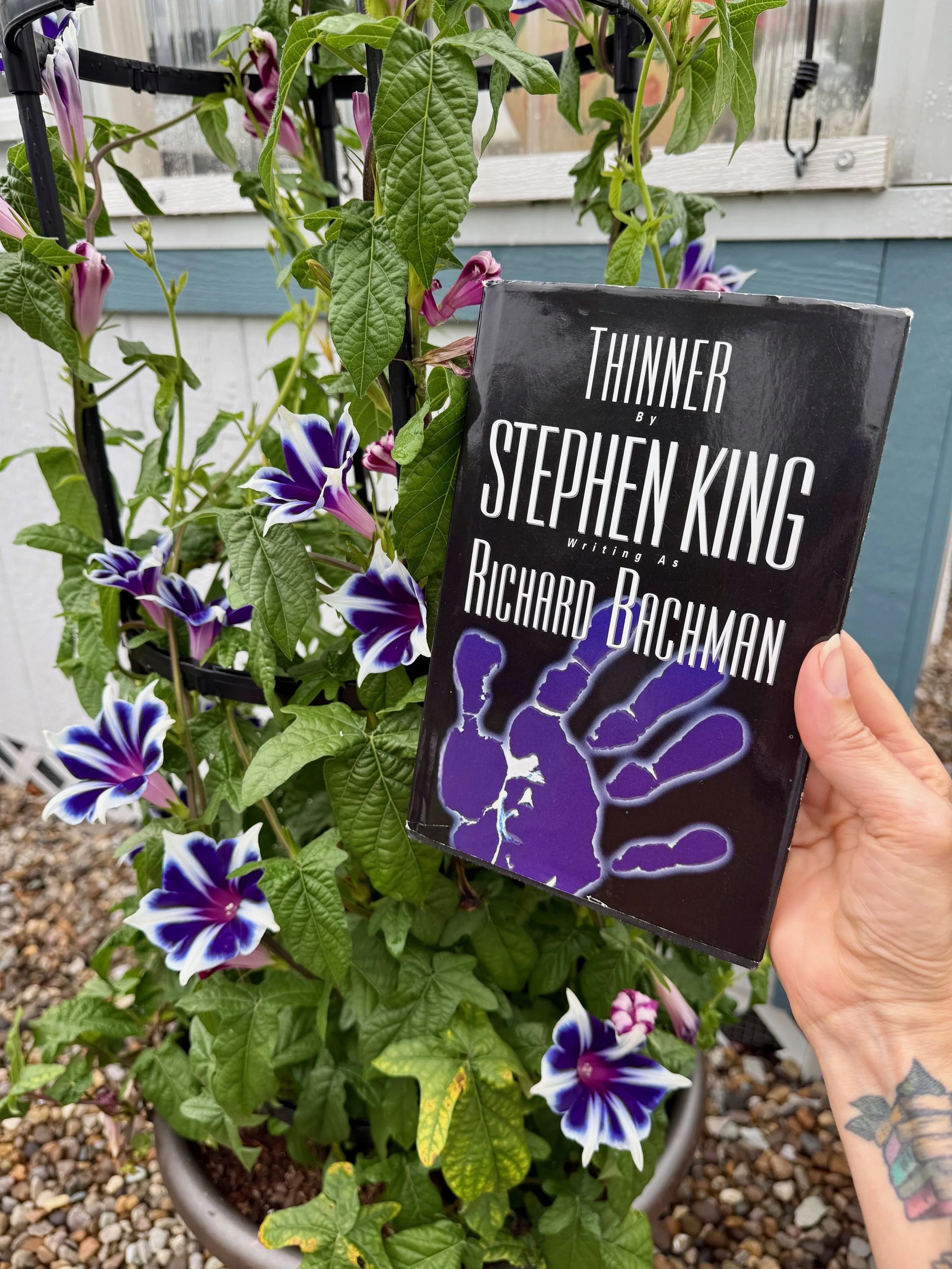 Thinner (by Stephen King)