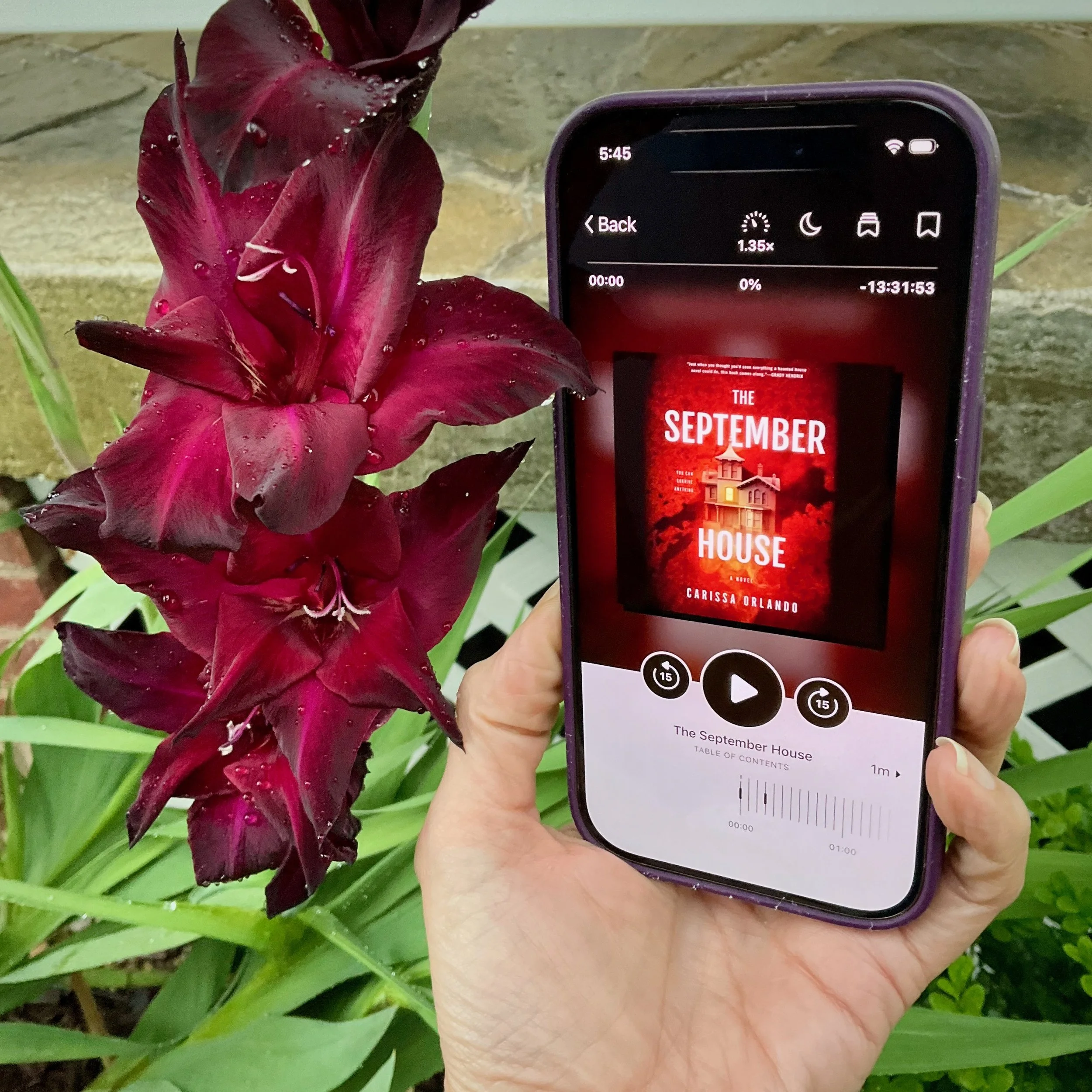 The September House (by Carissa Orlando)