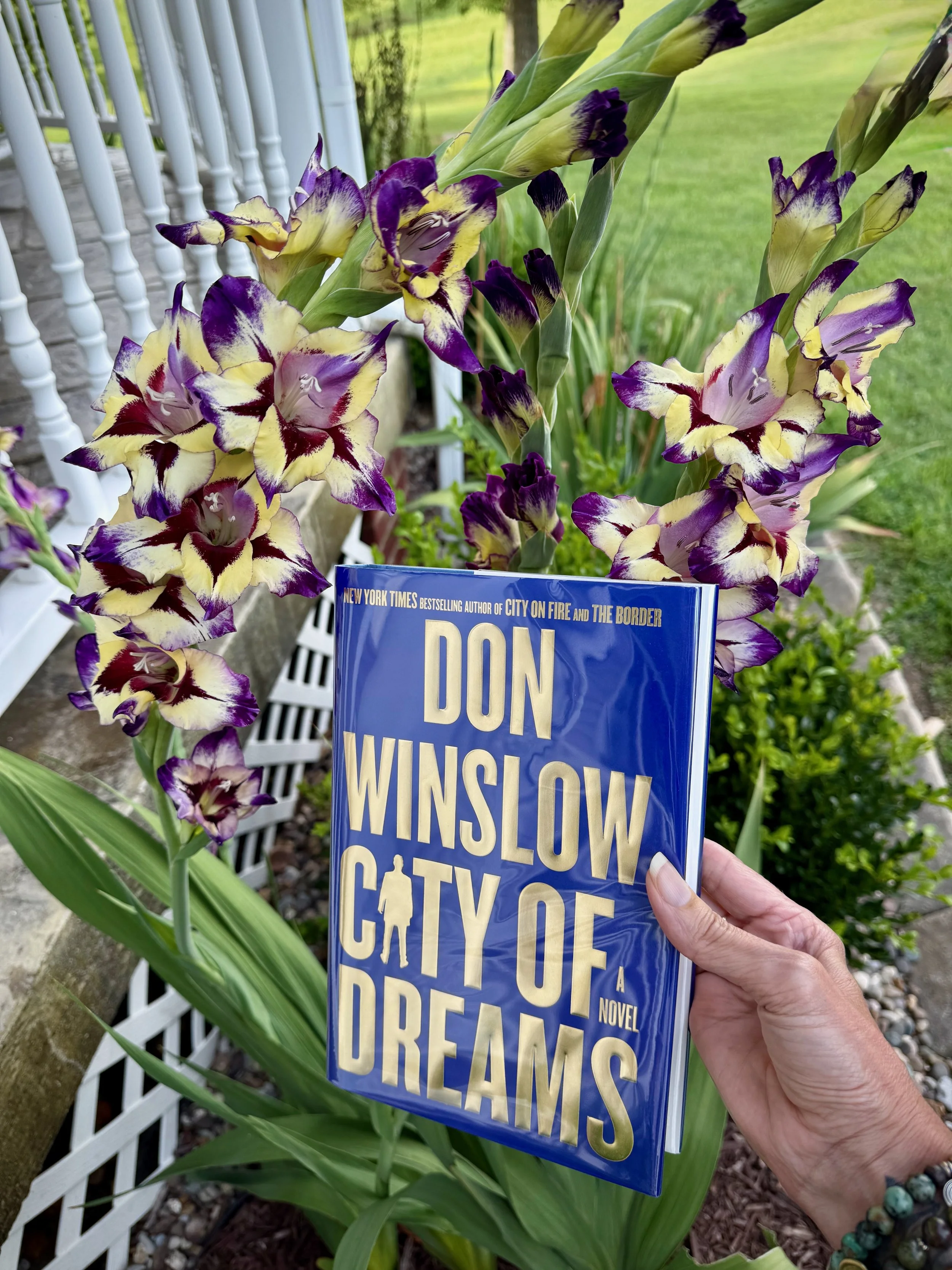 City of Dreams (by Don Winslow)