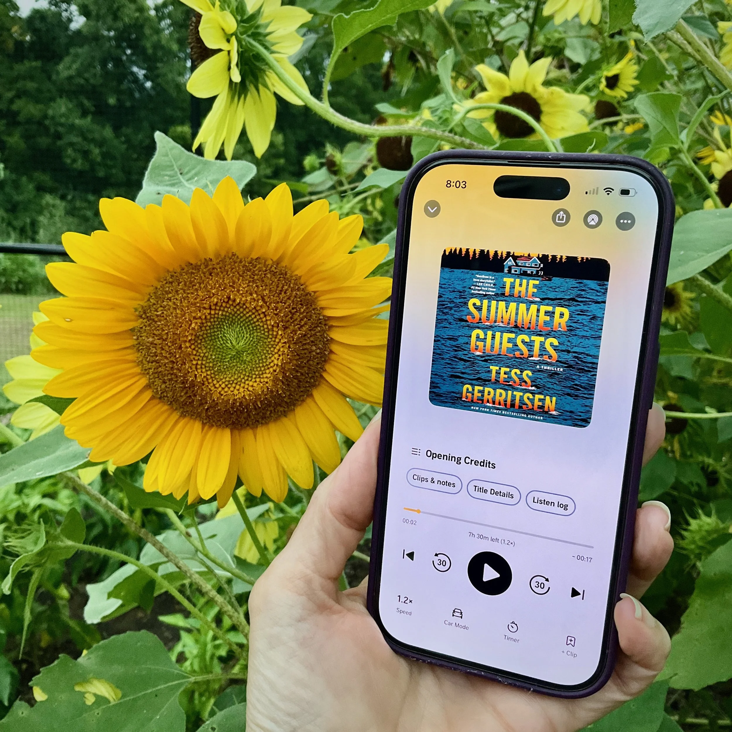 The Summer Guests (by Tess Gerritsen)