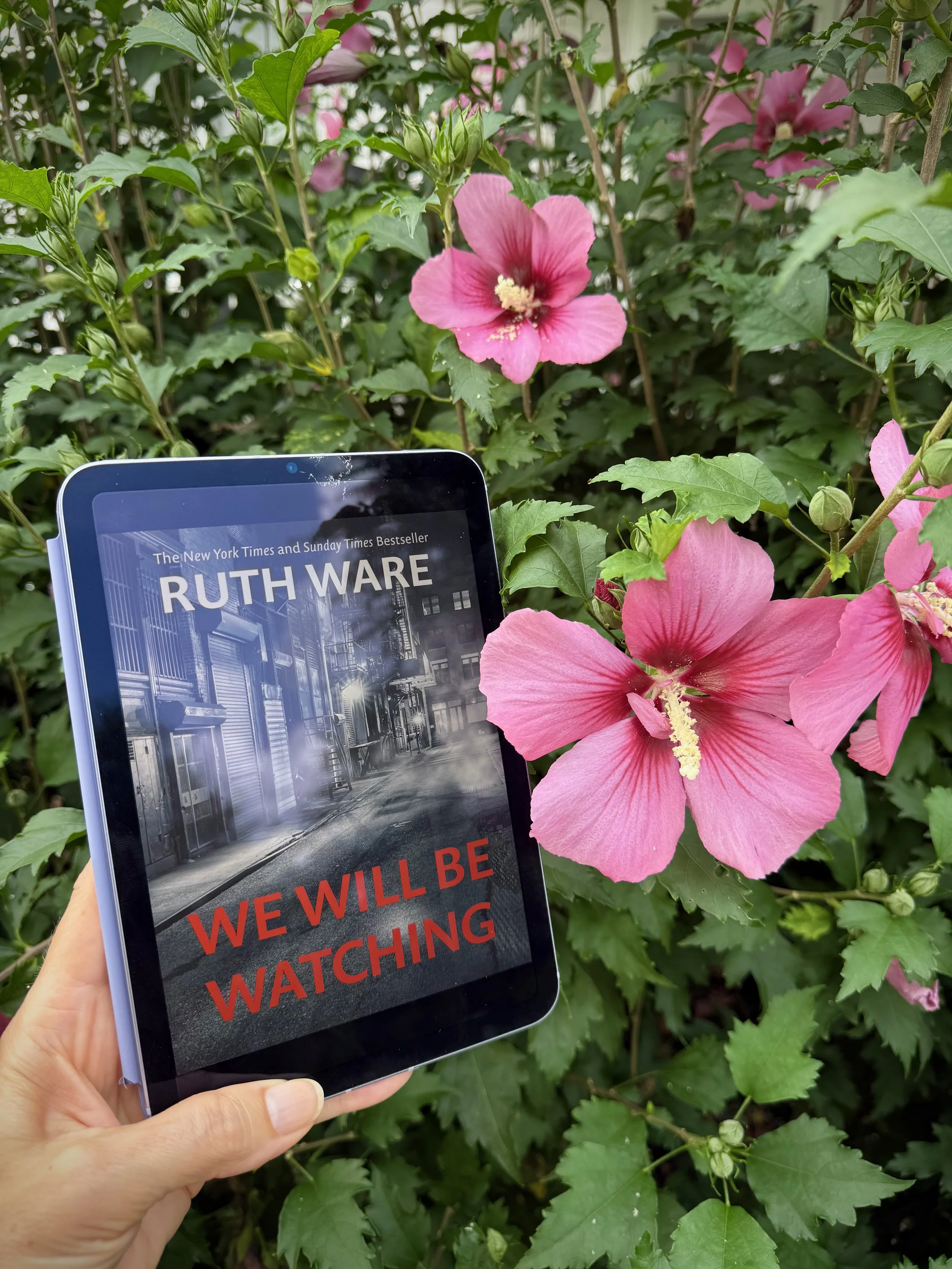 We Will Be Watching (by Ruth Ware)