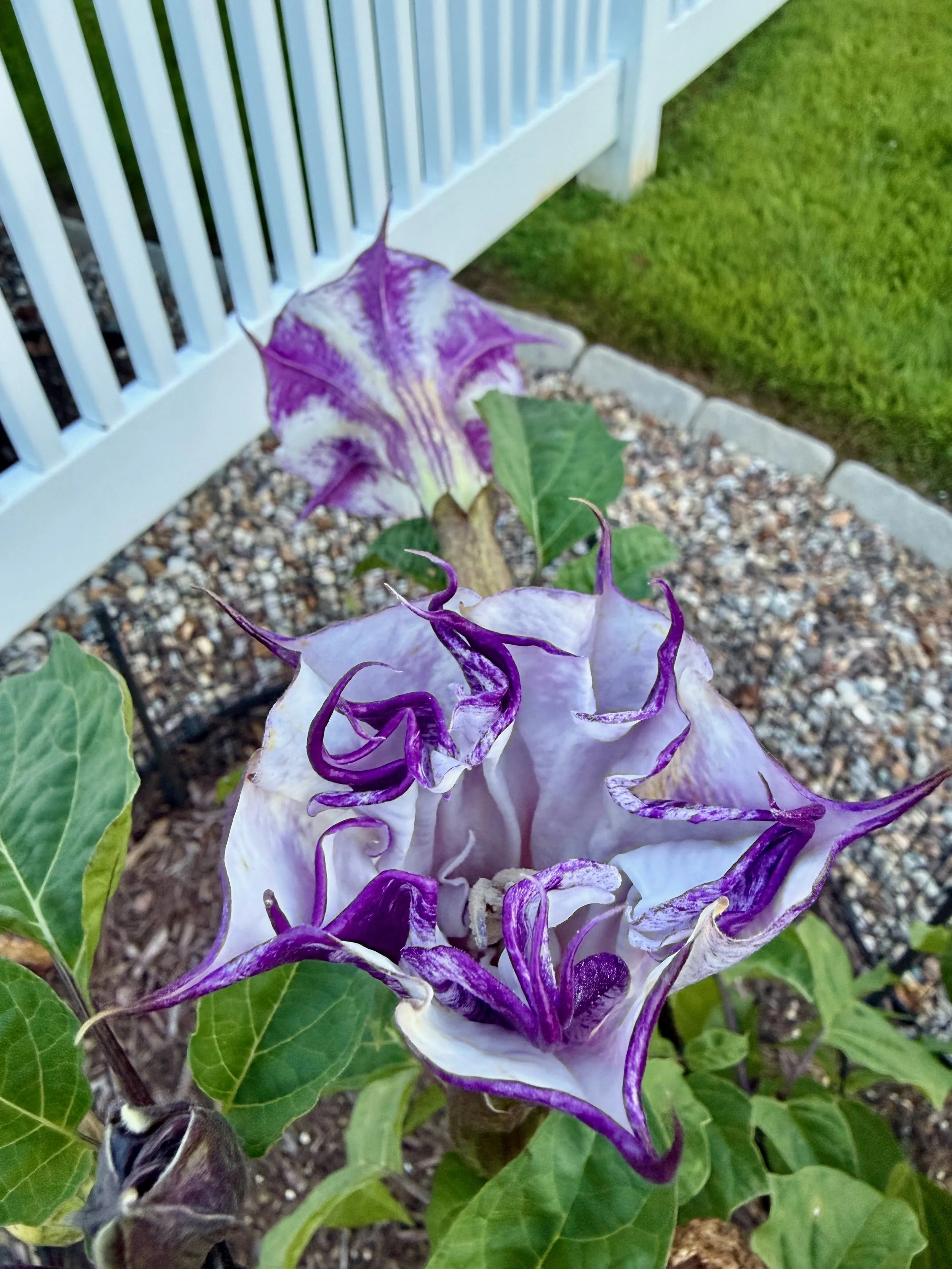 IMG_2632 (1).jpeg