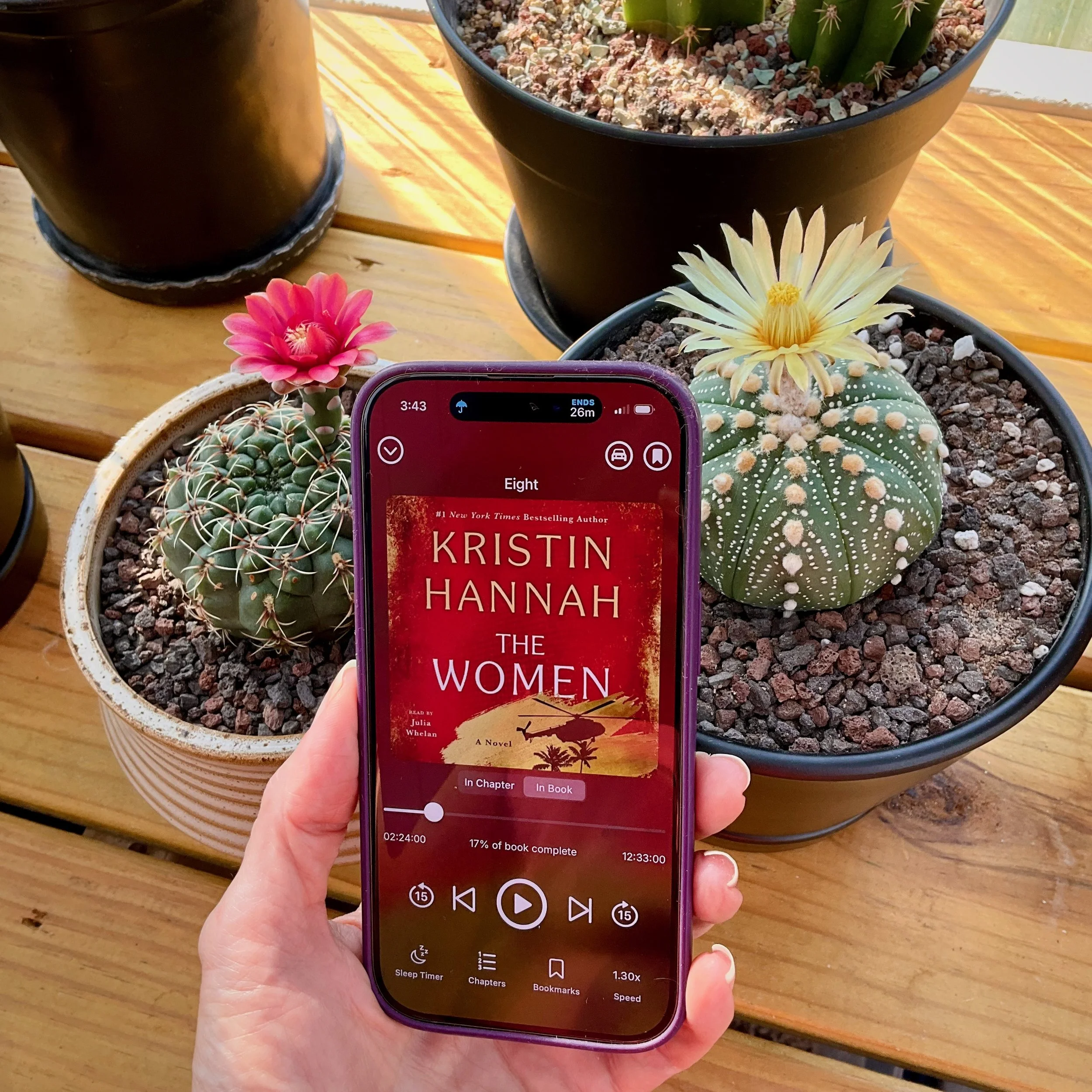 The Women (by Kristin Hannah)