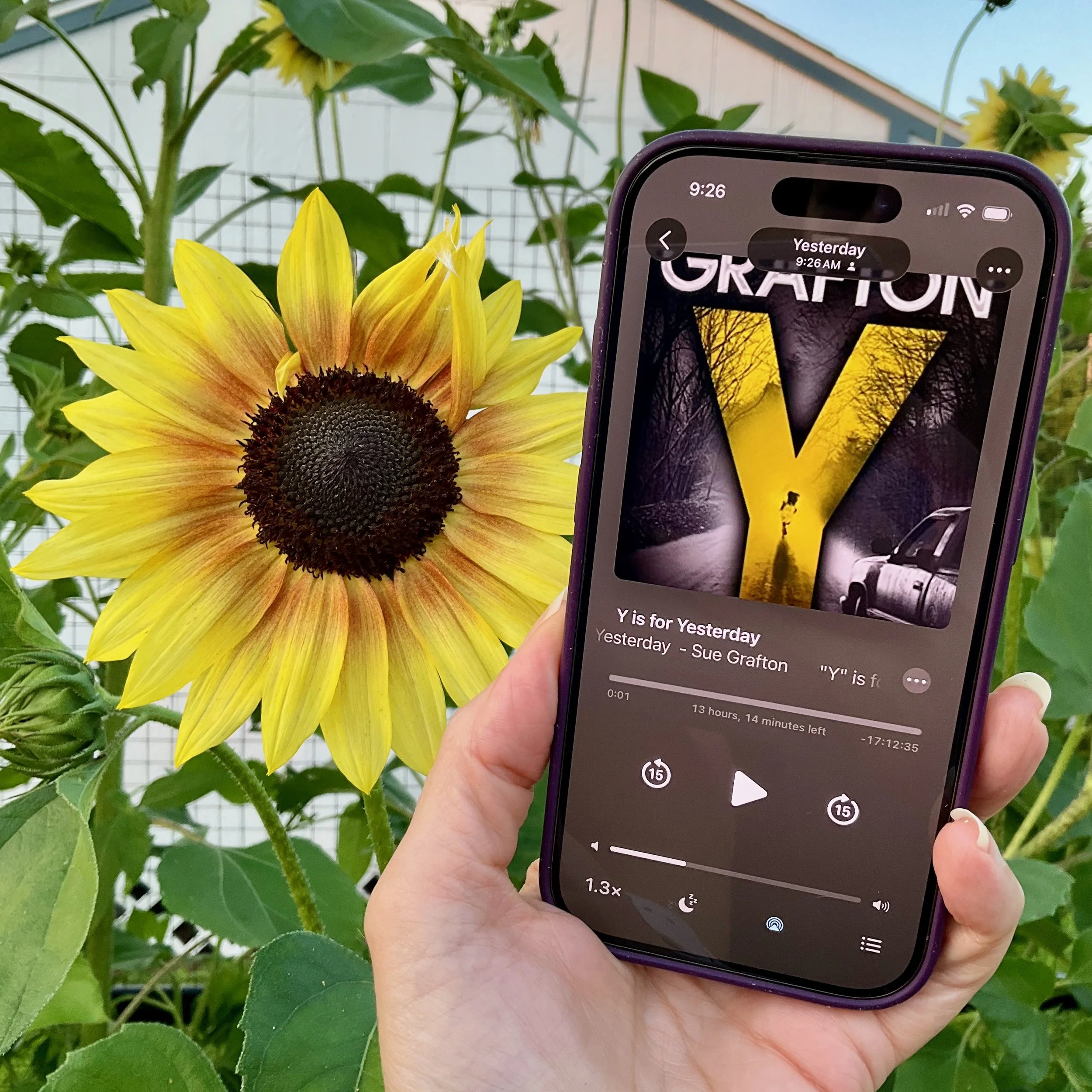 Y is for Yesterday (by Sue Grafton)
