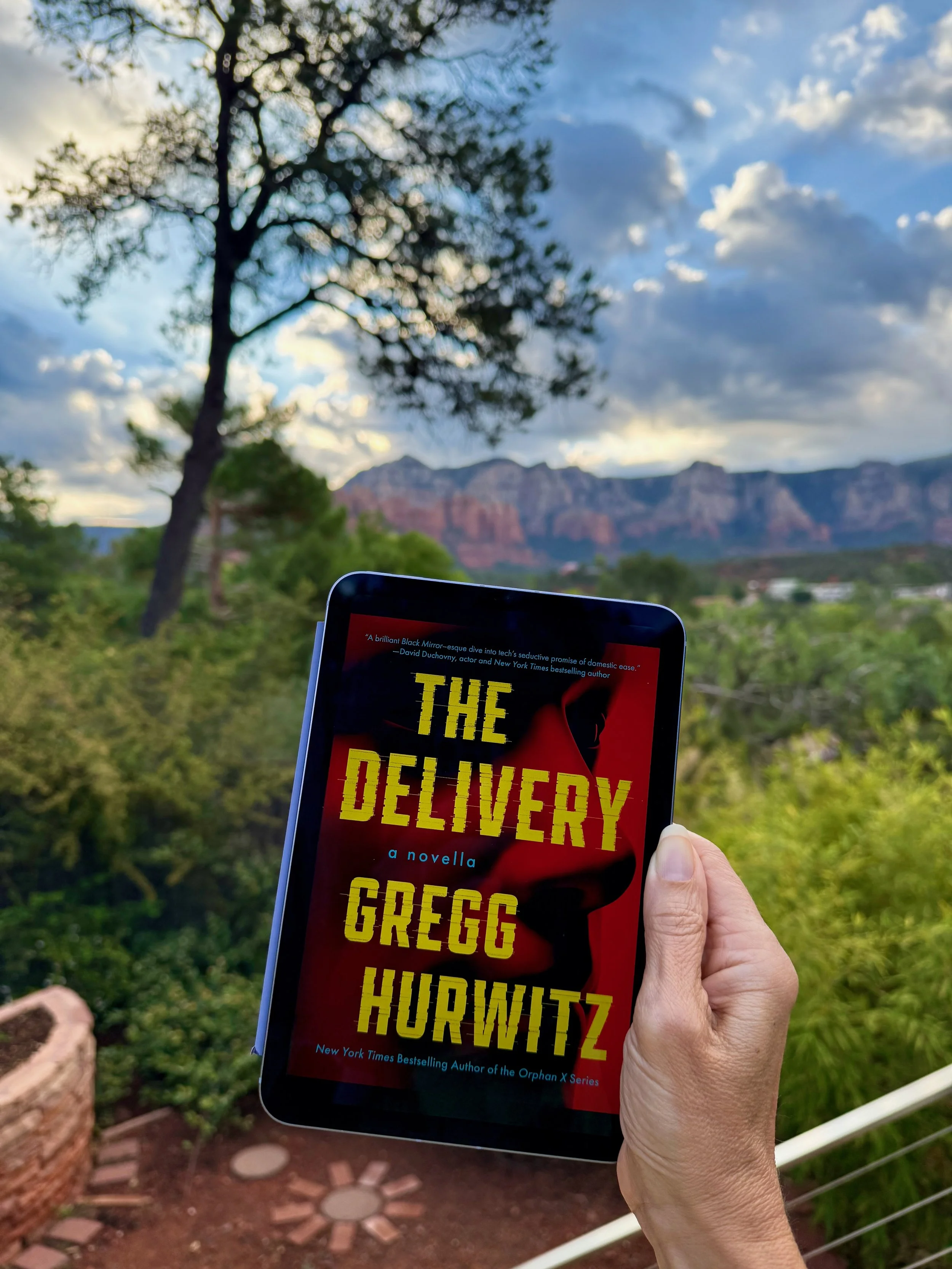 The Delivery (by Gregg Hurwitz)