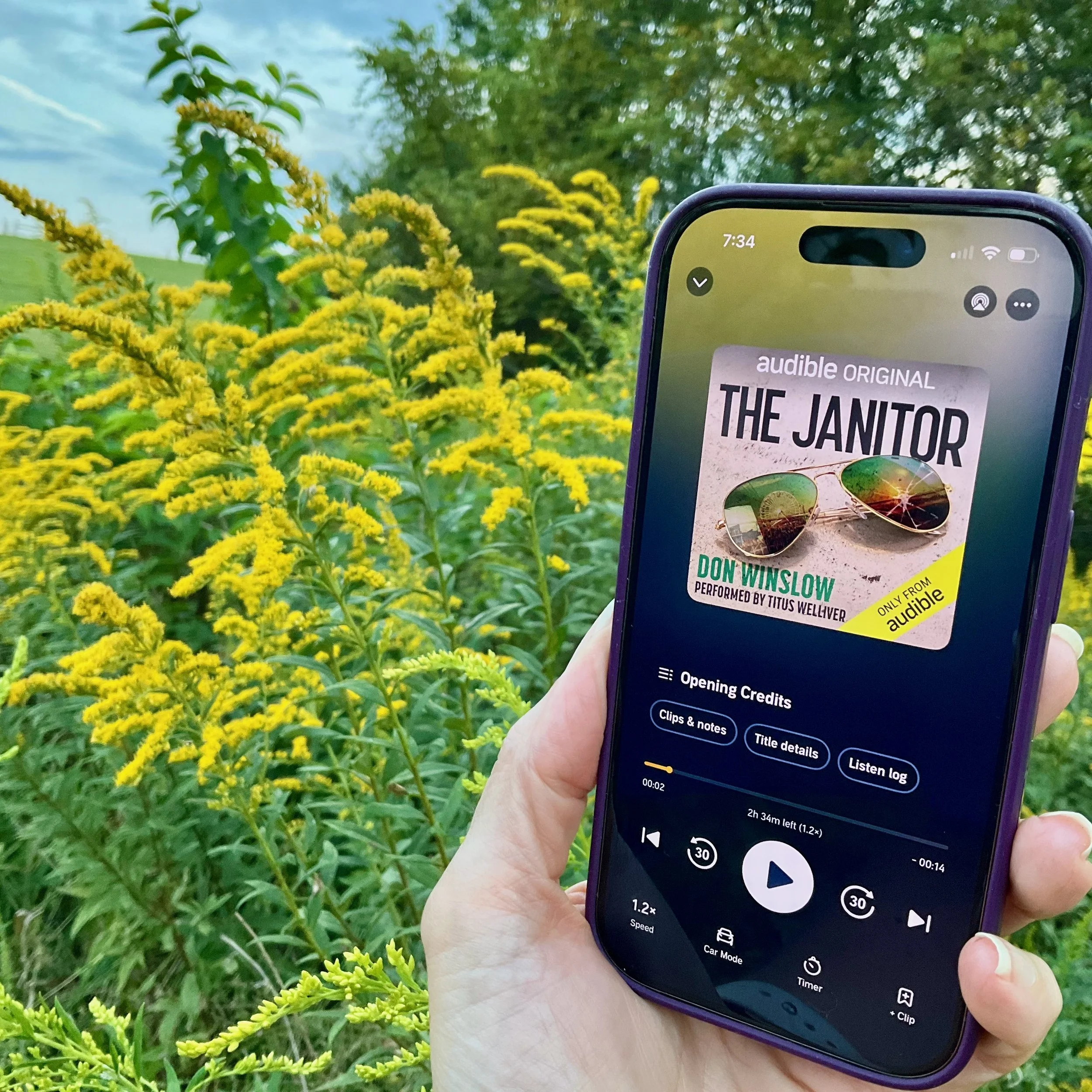 The Janitor (by Don Winslow)