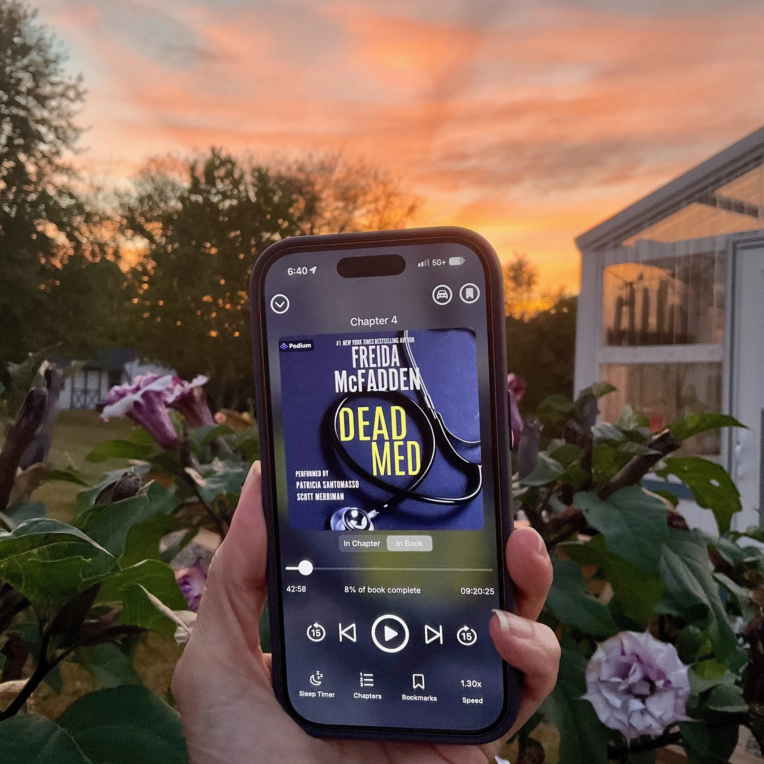 A hand holds a phone showing the Dead Med audiobook by Freida McFadden, with purple flowers in the foreground and a greenhouse under an orange sunset sky.