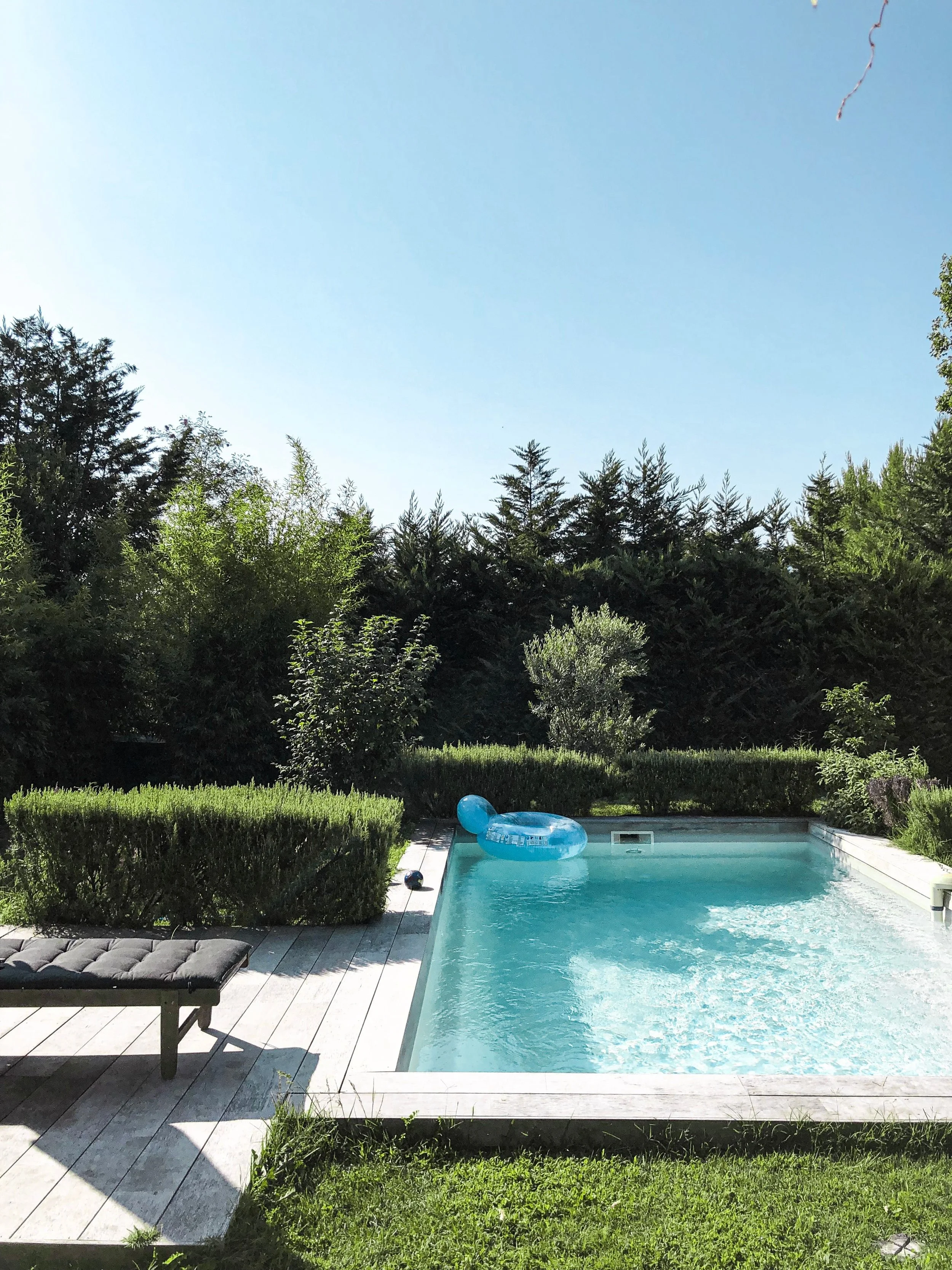 Moderner Einbaupool mit Holzterrasse und dichter Gartenbepflanzung in einem Privatgarten in Bad Soden am Taunus