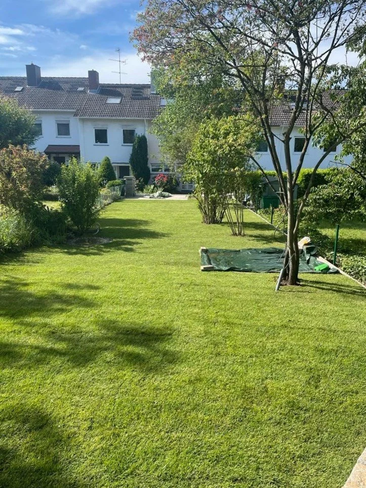 Ebenmäßig verlegter Rollrasen in einem langgestreckten Reihenhausgarten in Ober-Erlenbach
