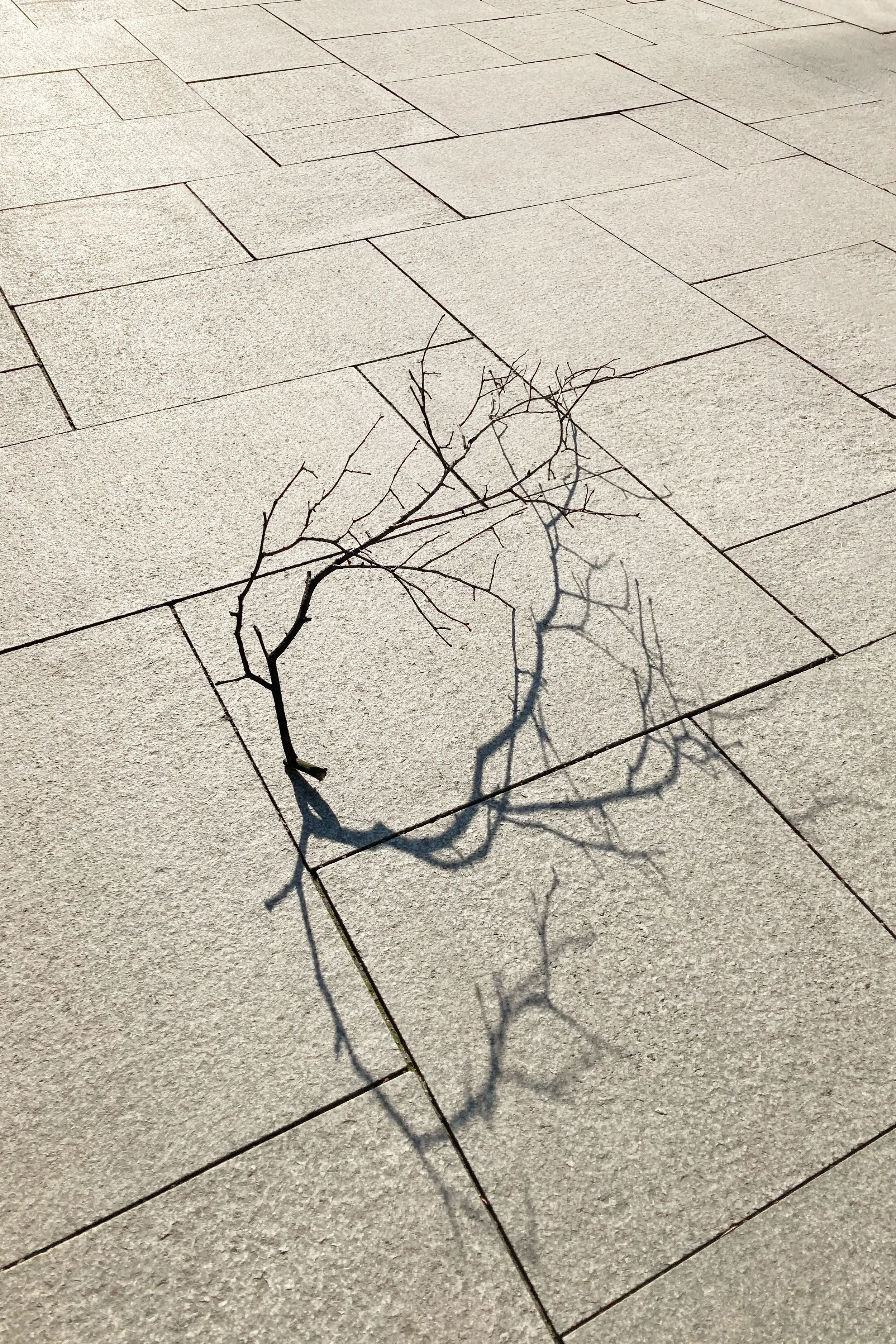 Präzise verlegte, großformatige Naturstein-Terrassenplatten mit feiner Oberflächenstruktur
