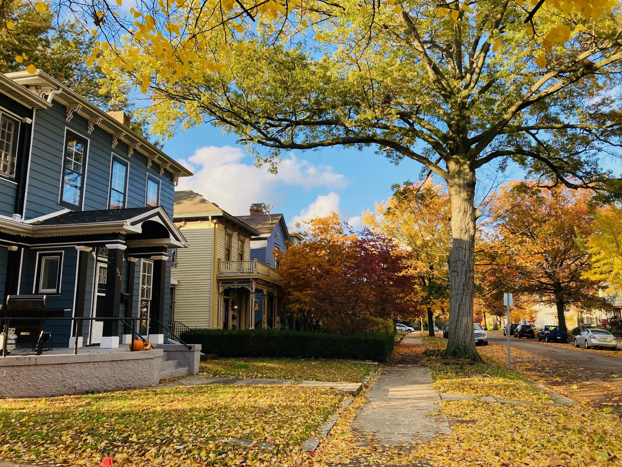 Farrington's Grove Historical District, Inc.