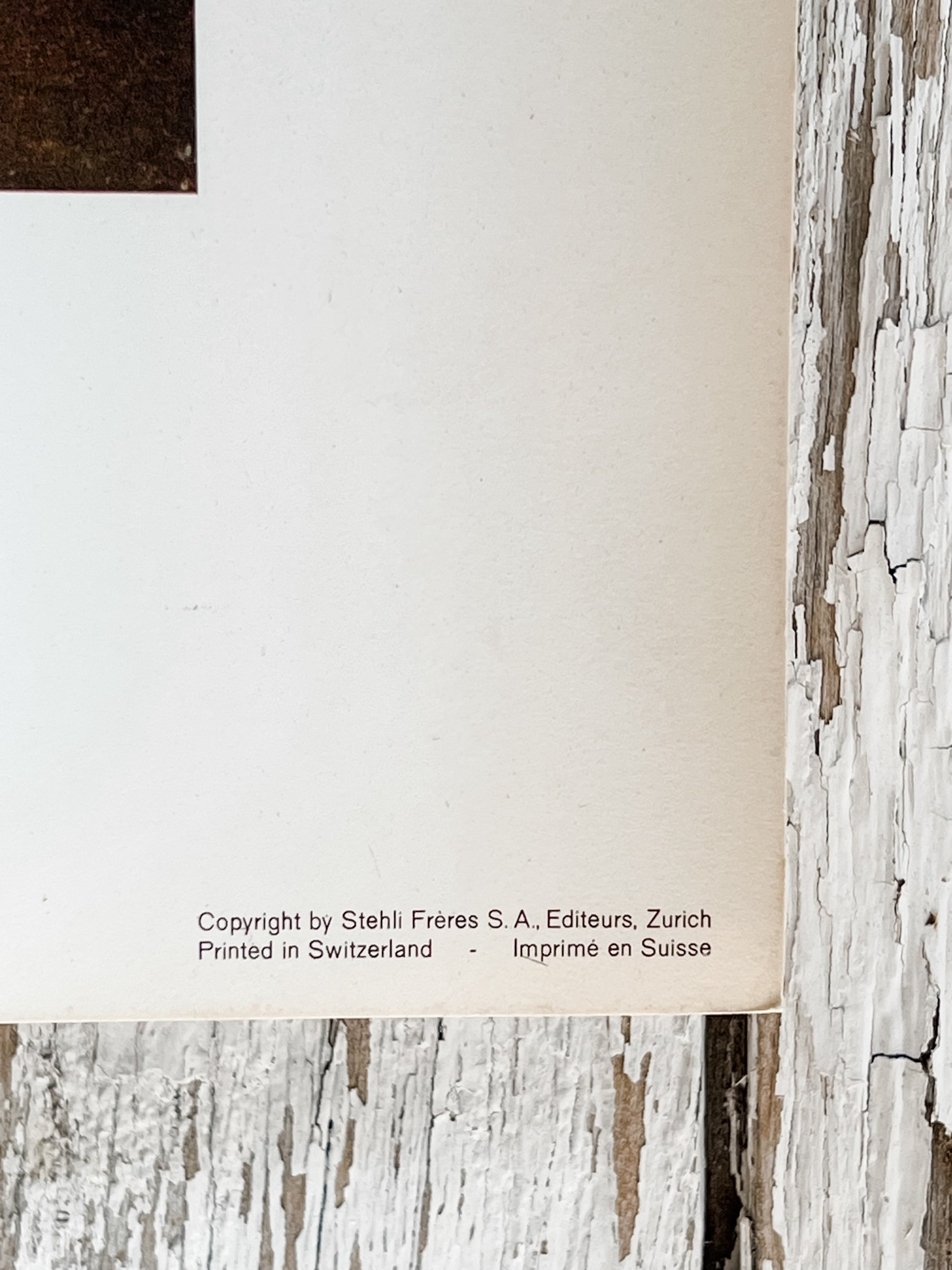 EEA806AC-27FE-4B6B-A045-6A5528C87016.jpeg