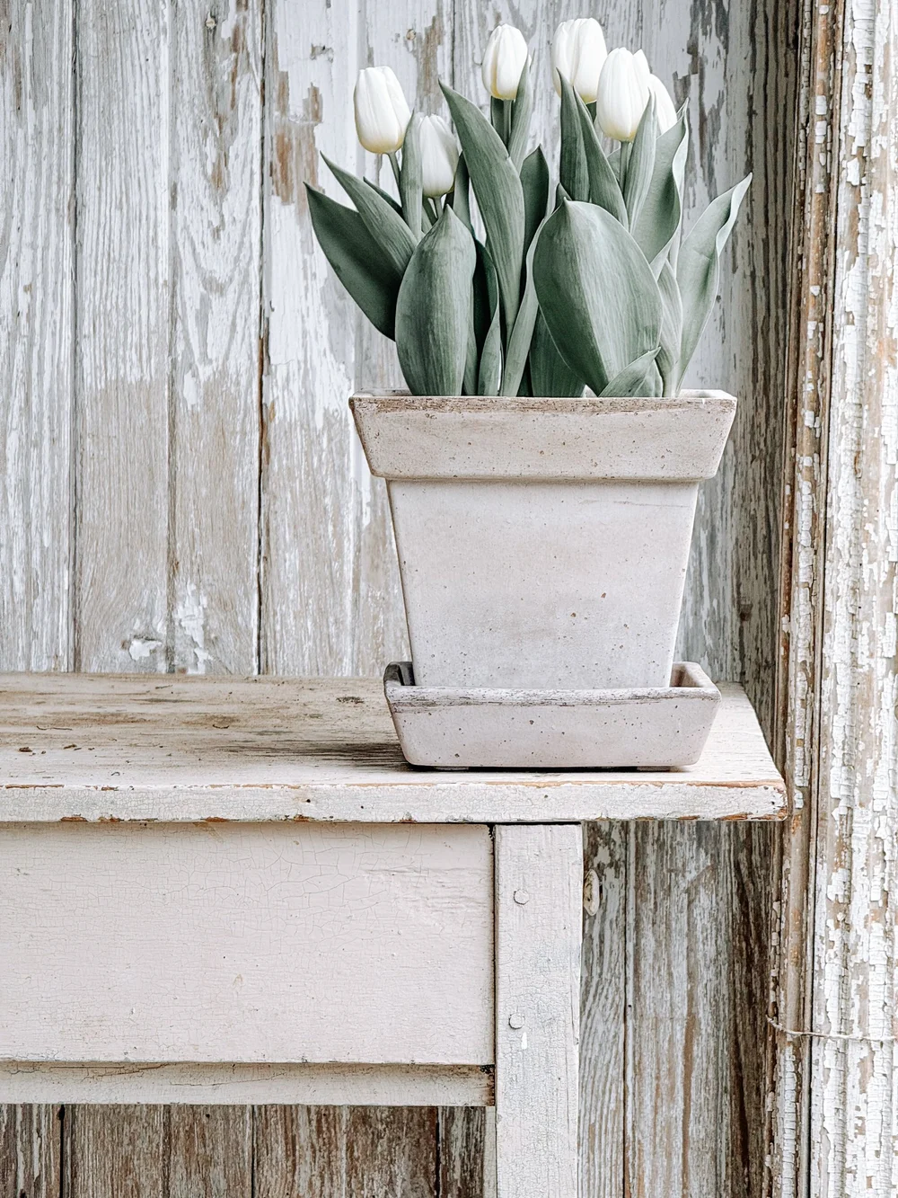 Bergs Potter Gaia Pot & Saucer — The Collected