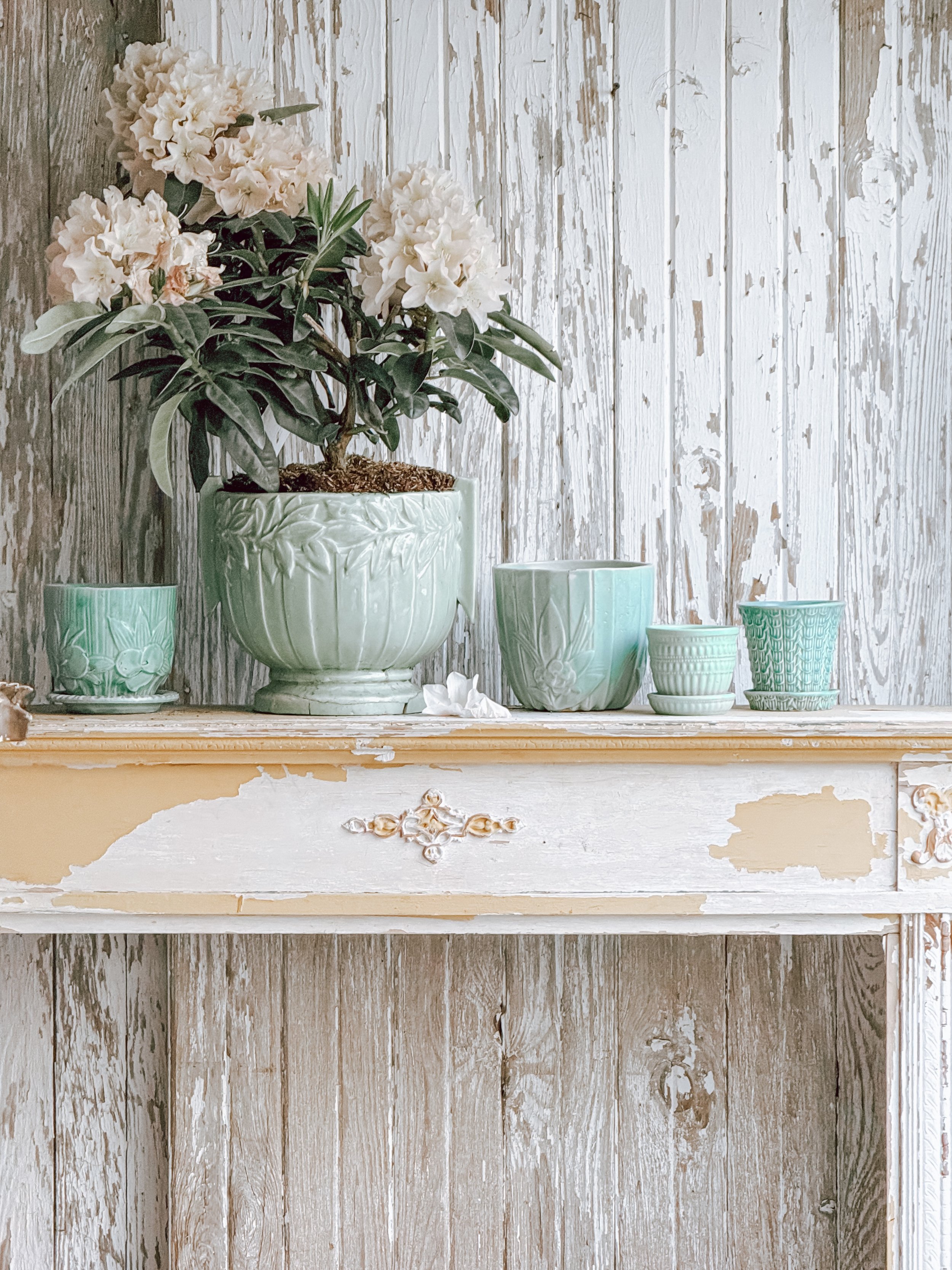 Vintage Garden