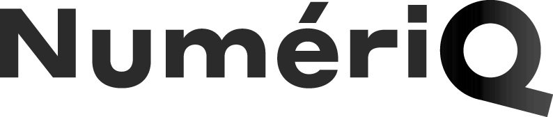 logo_NumeriQ+%282%29.jpg