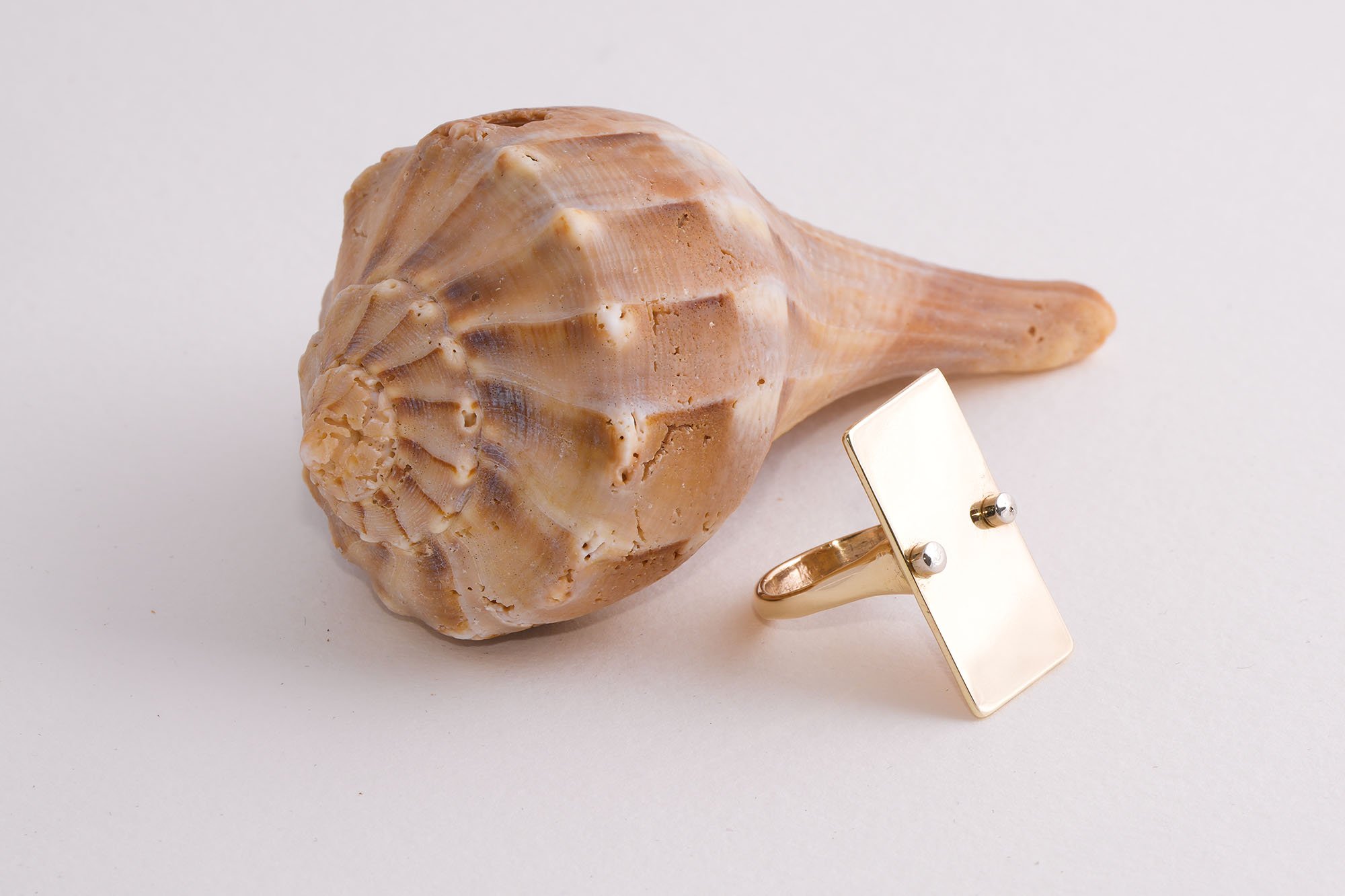 LARGE_SIGNET_01.jpg
