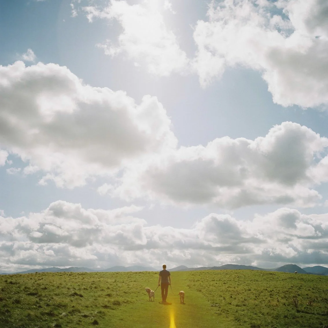 Person walking two dogs on a grassy trail in an open field with a cloudy sky overhead.