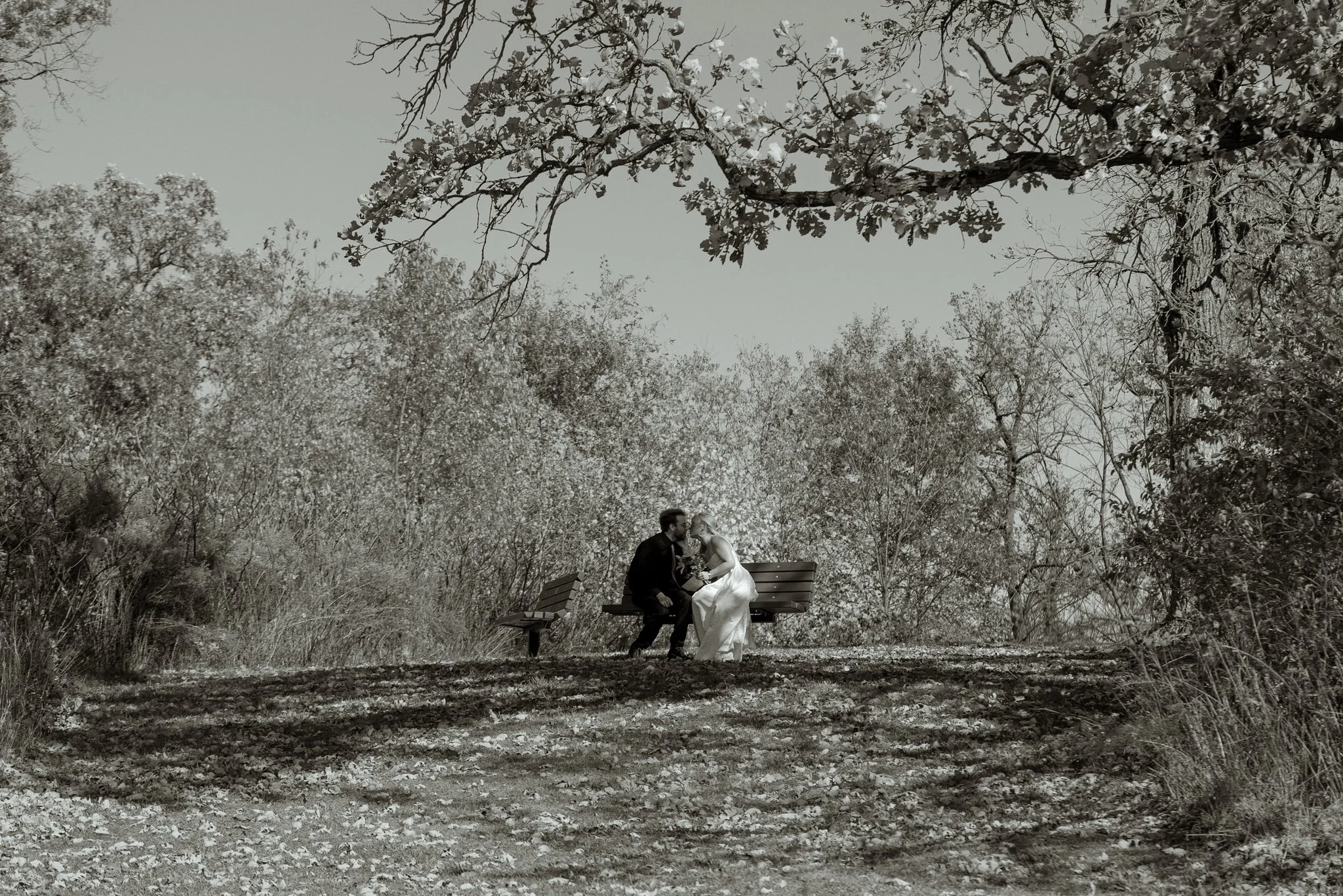 governor_dodge_state_park_dodgeville_wisconsin_elopement_NEP (2).jpg