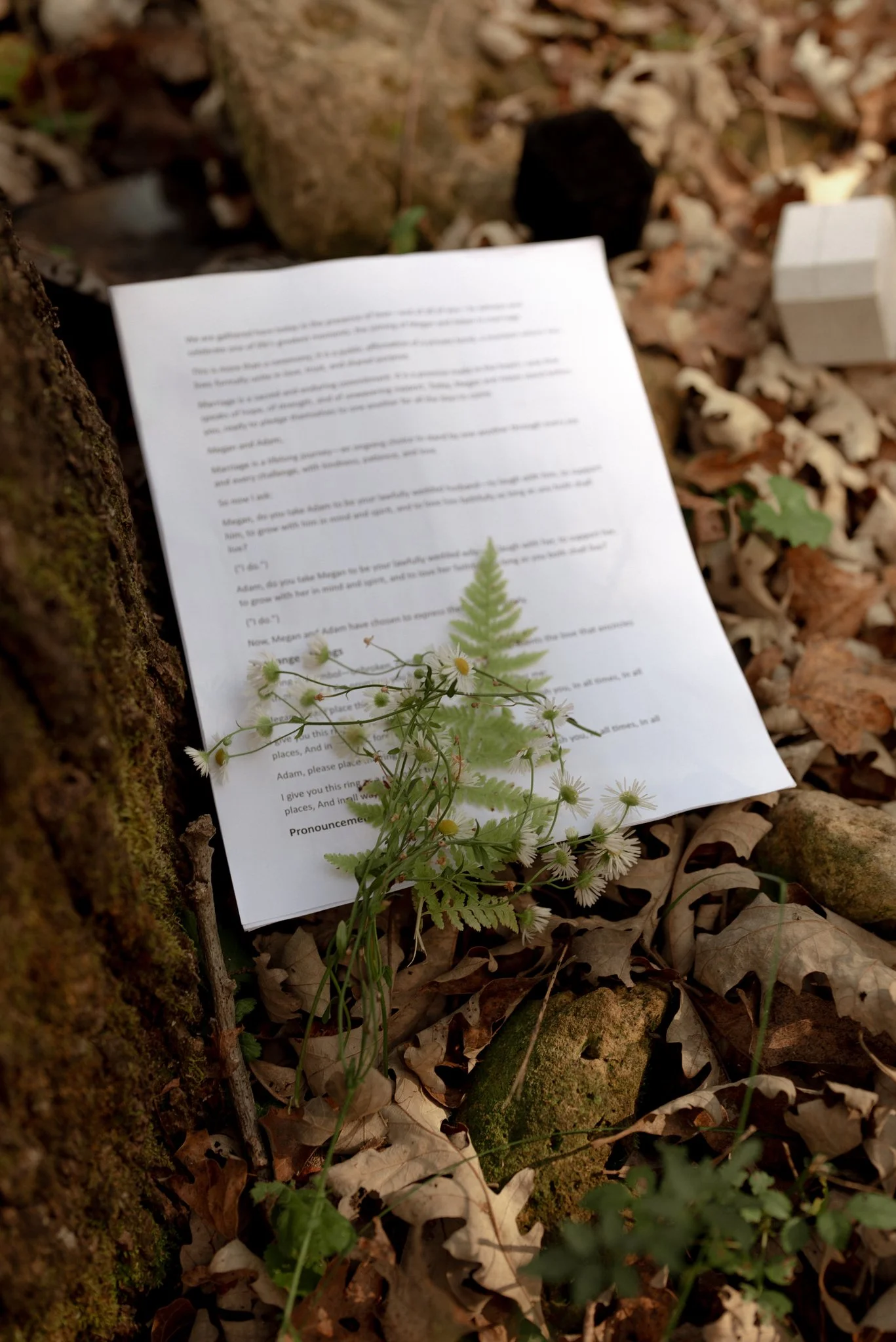governor_dodge_state_park_dodgeville_wisconsin_elopement_NEP (15).jpg
