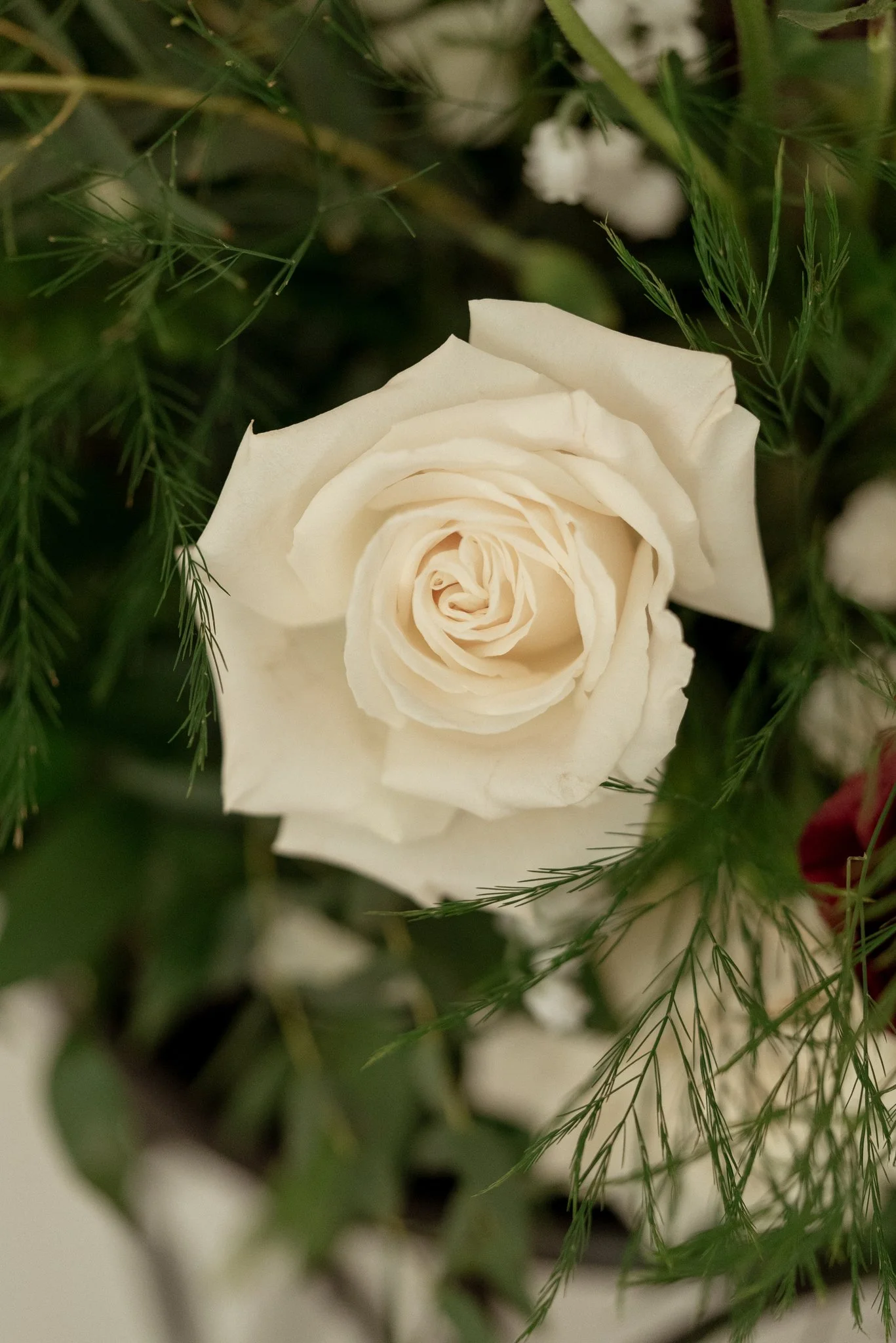 the_morris_estate_niles_michigan_wedding_NEP (5).jpg