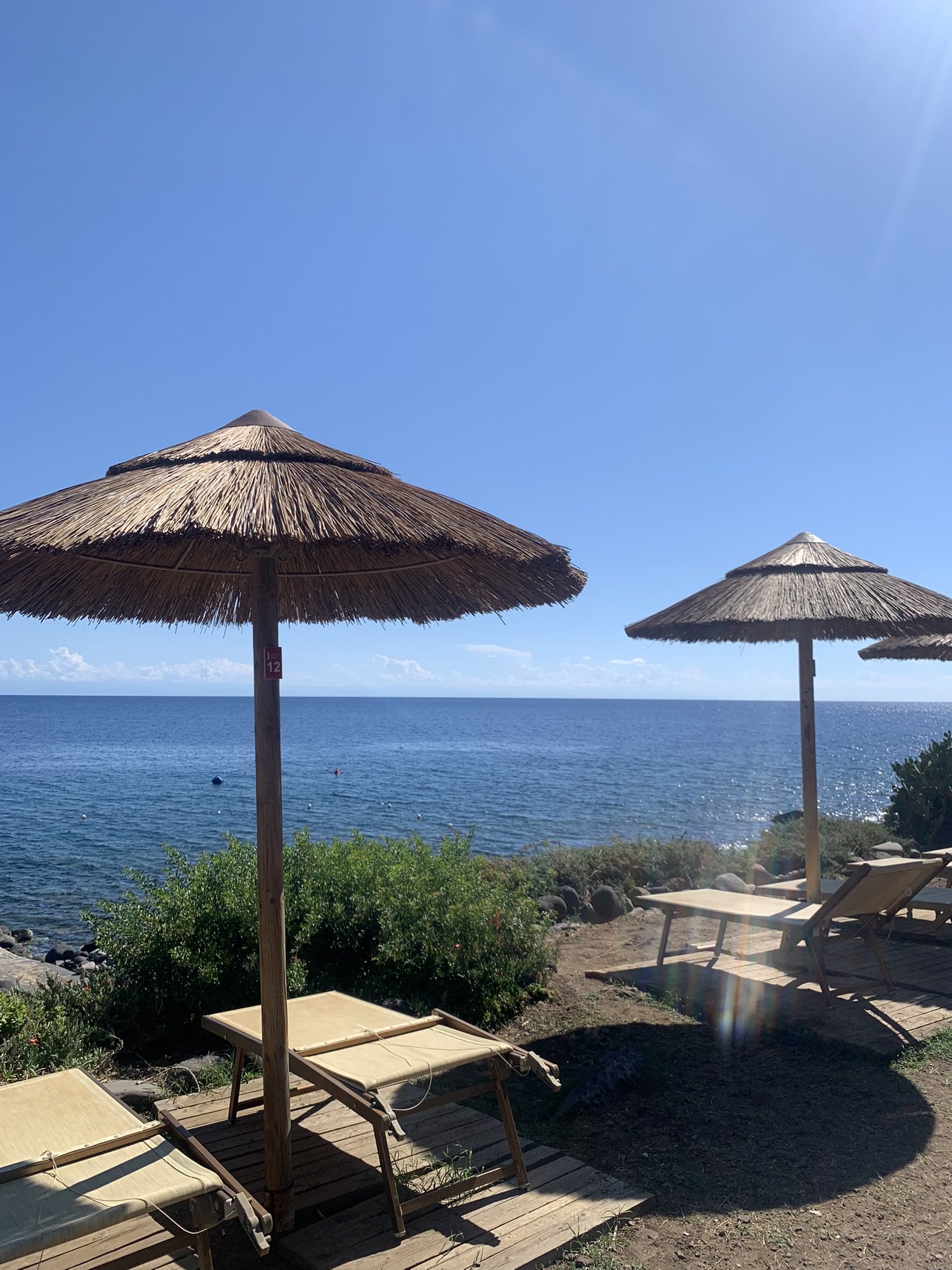 IMG_7477.JPEG