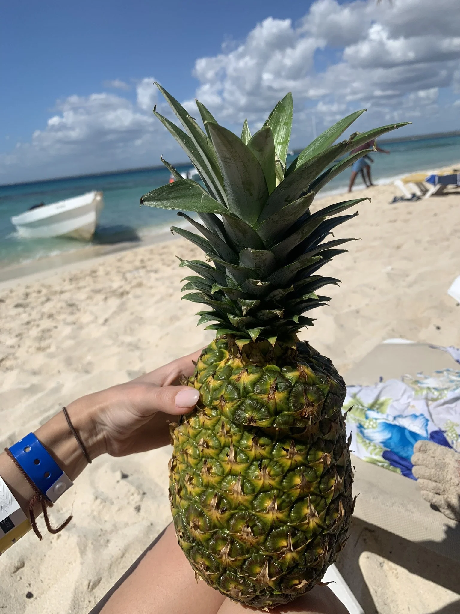 IMG_4180.JPEG