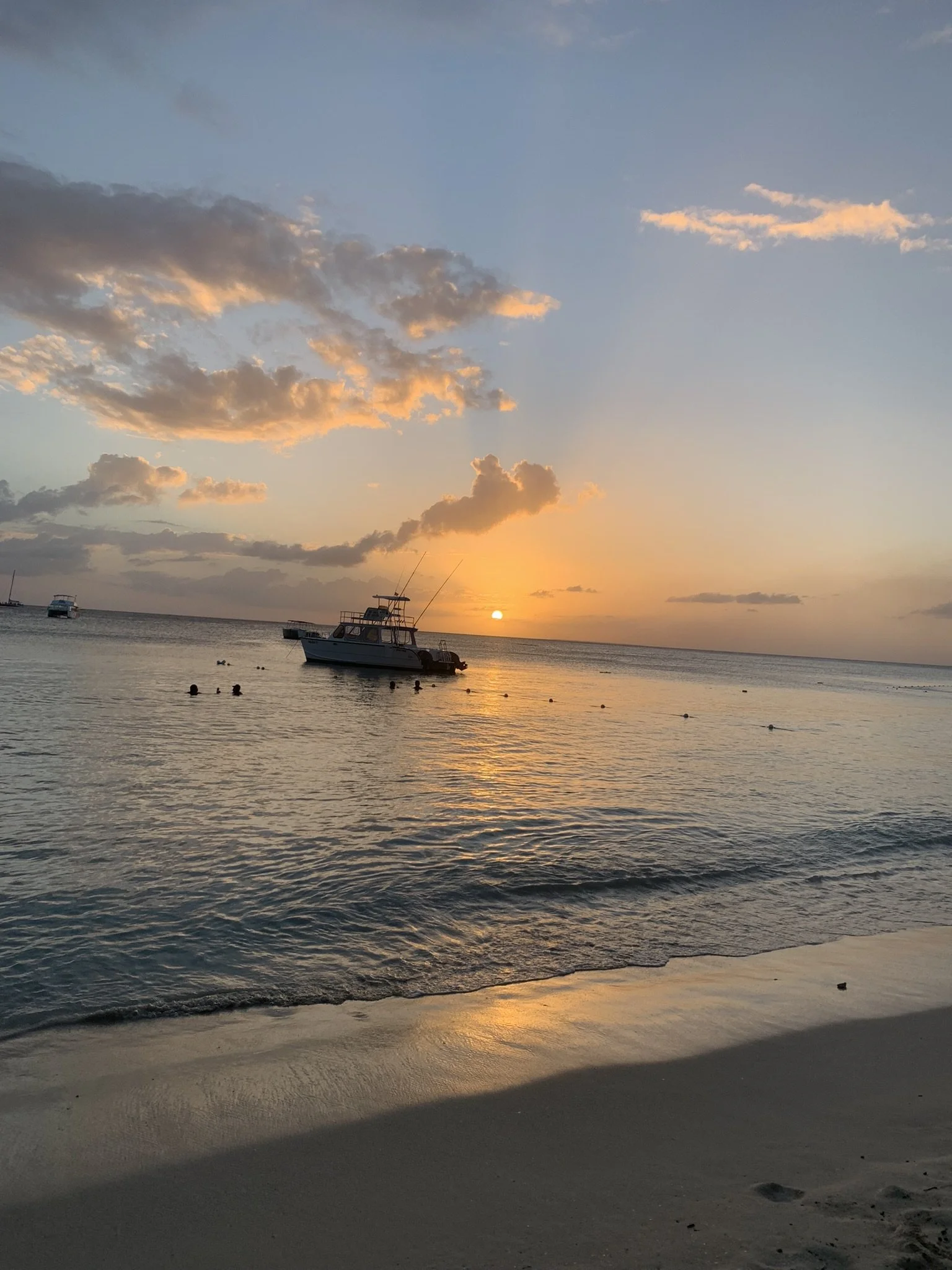 IMG_4479.JPEG