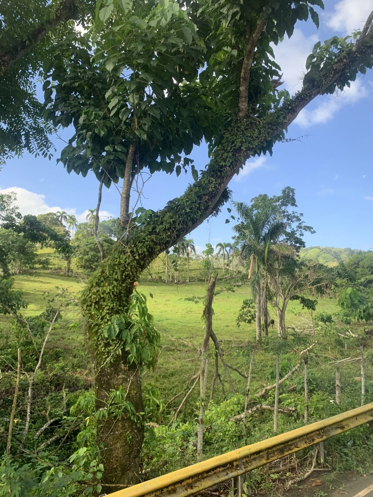 IMG_4513.JPEG