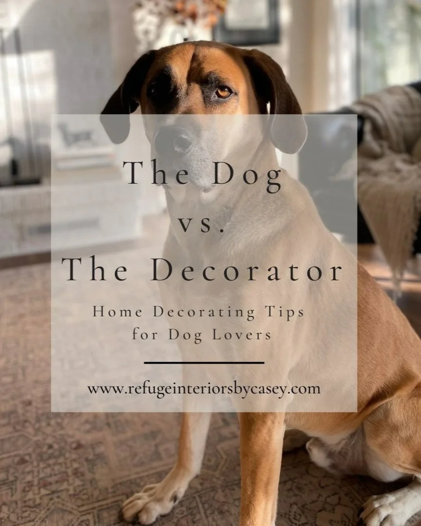 Decorating Tips for Dog Lovers