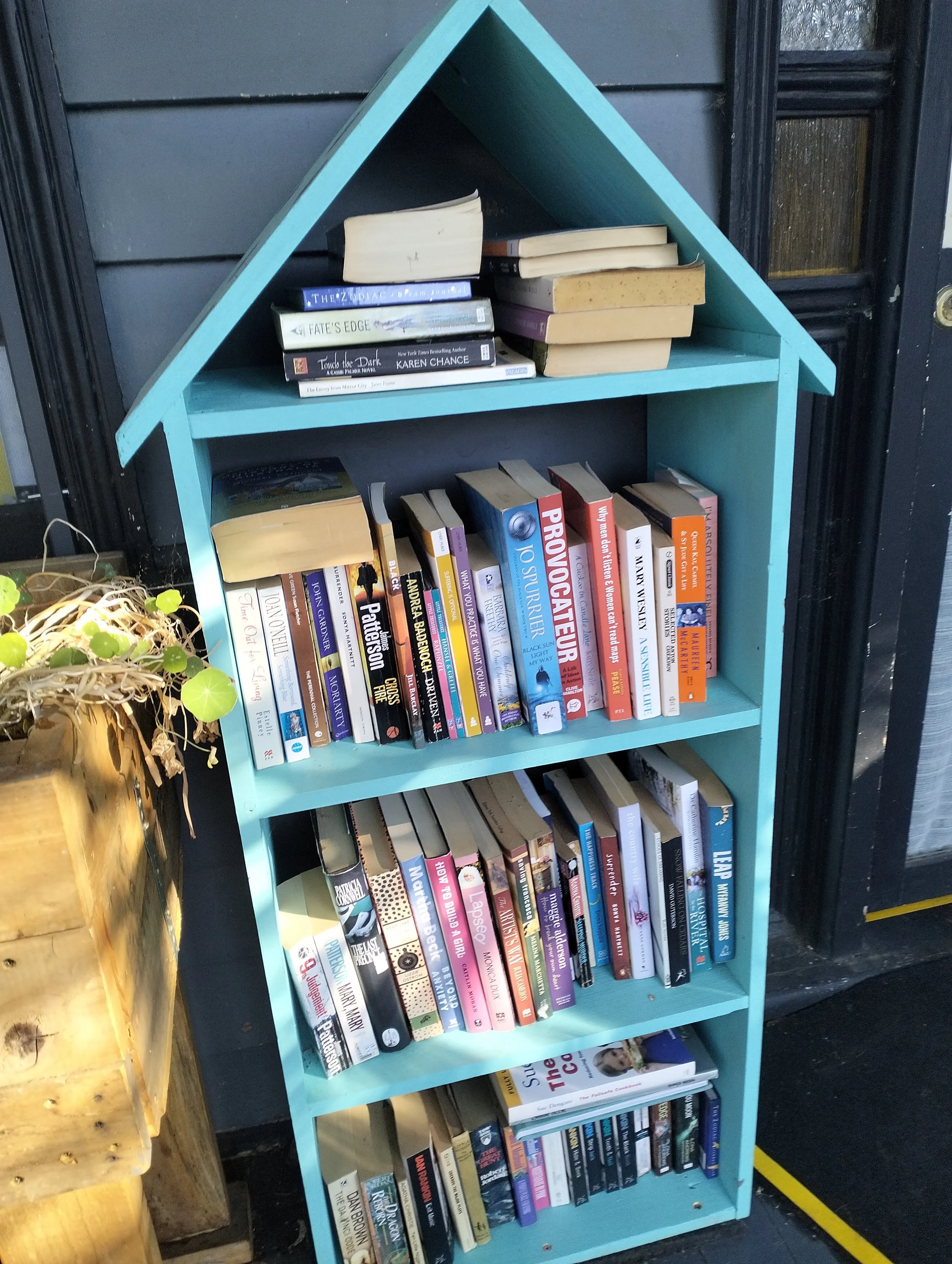 stocked mini lib.jpg