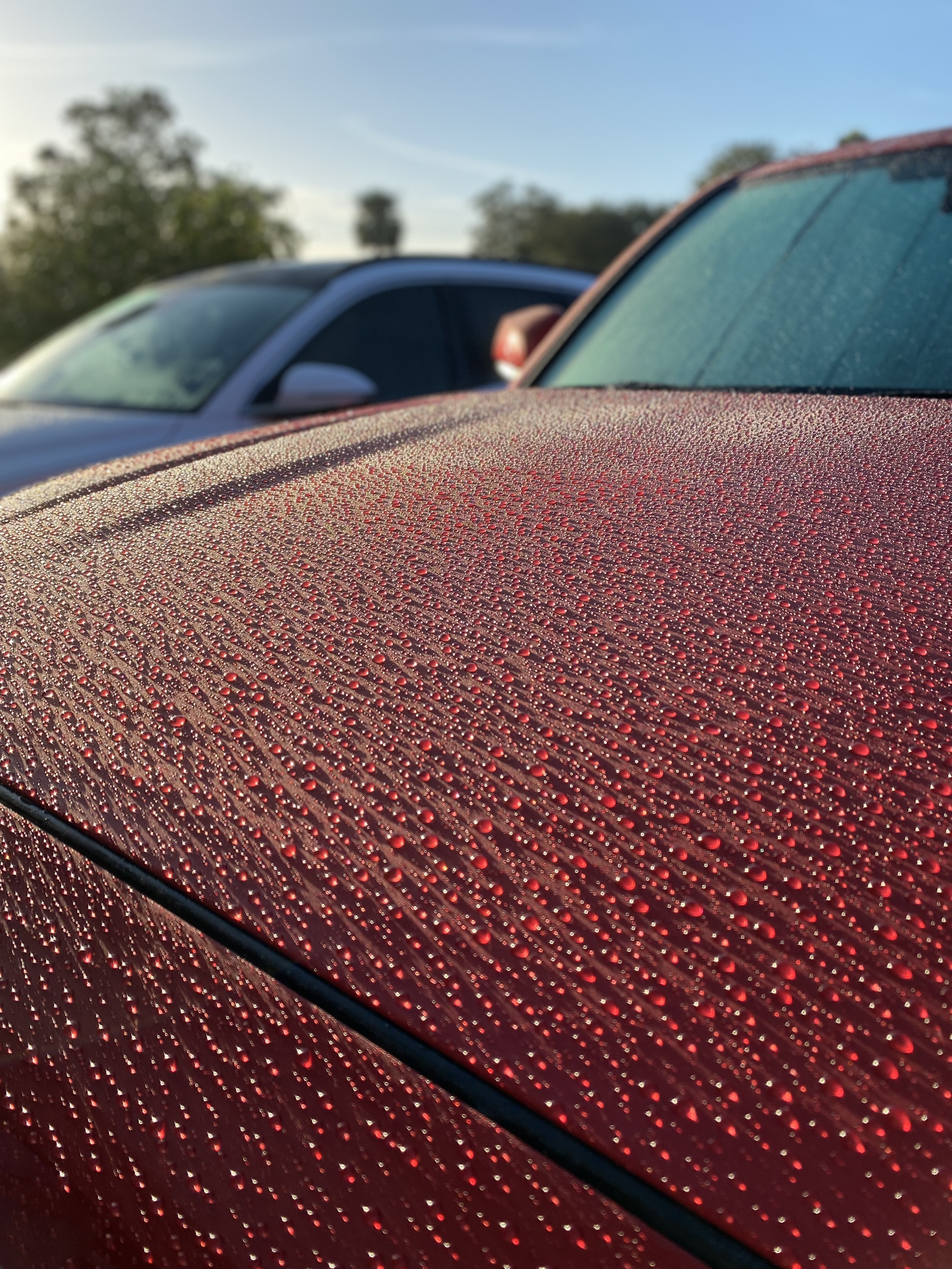 How to Maintain Your Car After a Ceramic Coating Treatment