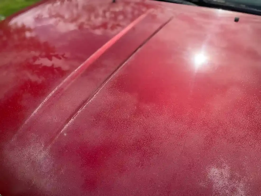 Severe Paint Oxidation and Clear Coat Failure in Palm Coast, FL
