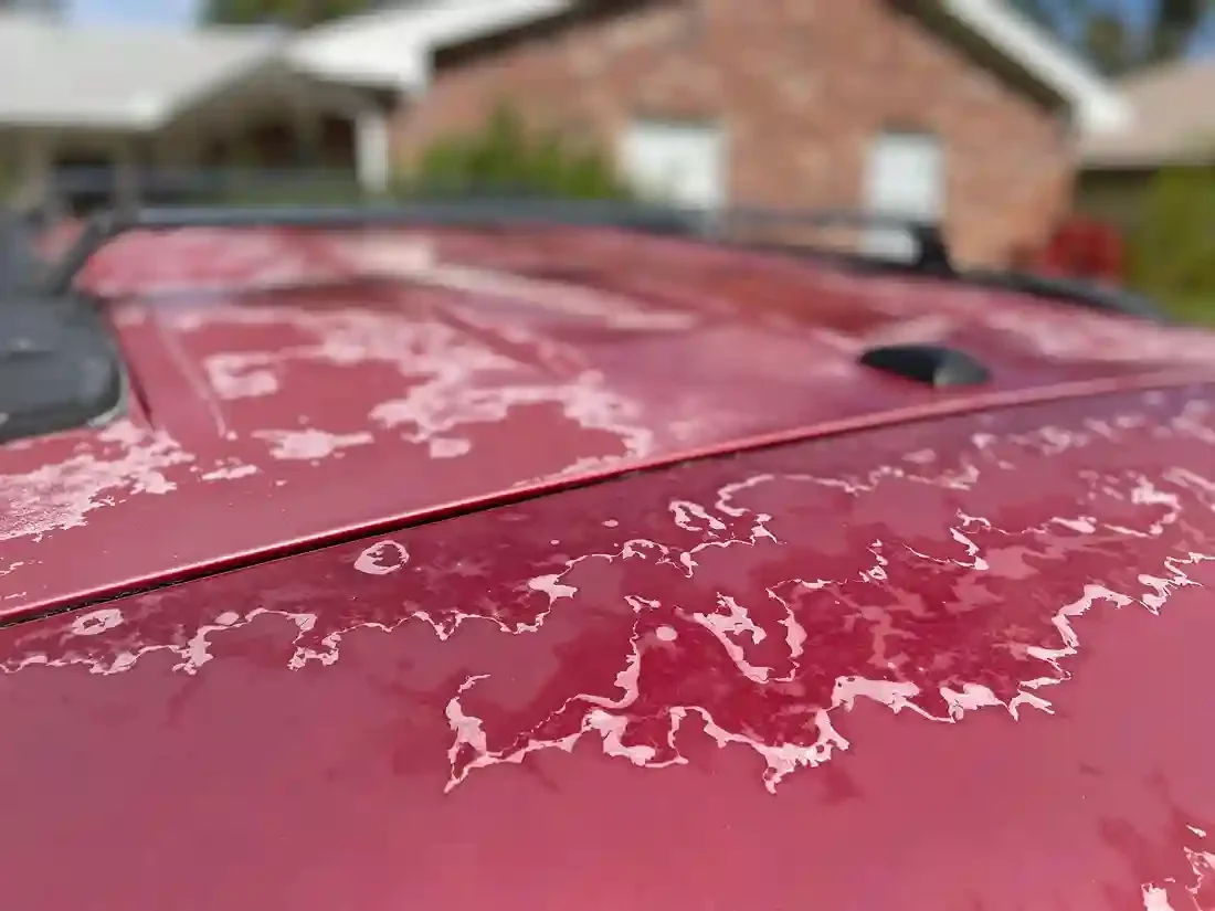 Car Paint Peeling and Clear Coat Damage in Palm Coast, FL