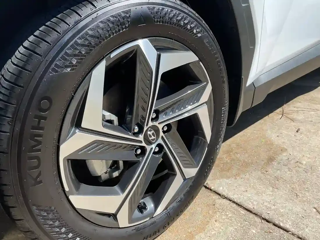 Auto Detailing Paint Protection Results in Palm Coast, FL

