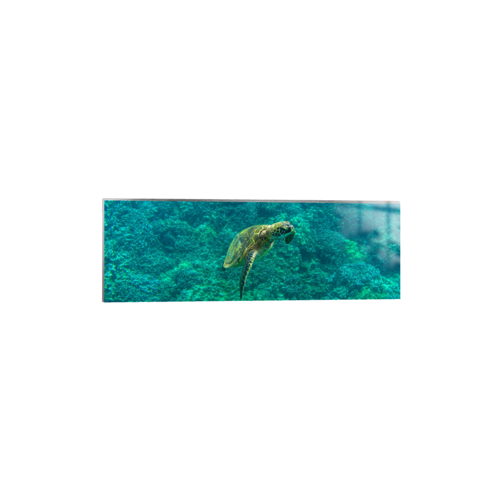 ptq_13_2_0_1280_5120_1706_0_false_ffffff_0_0_.png