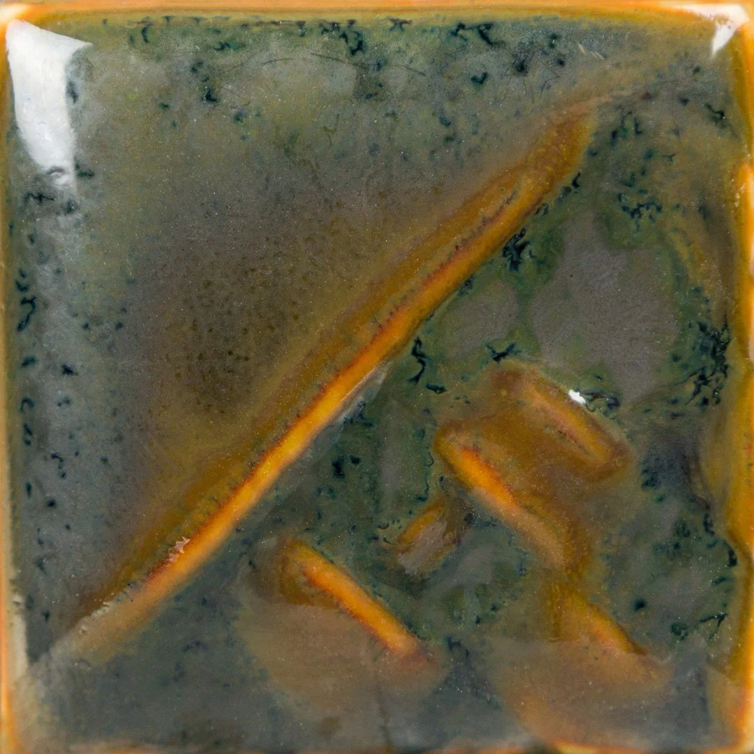 sw229_cone10.jpg