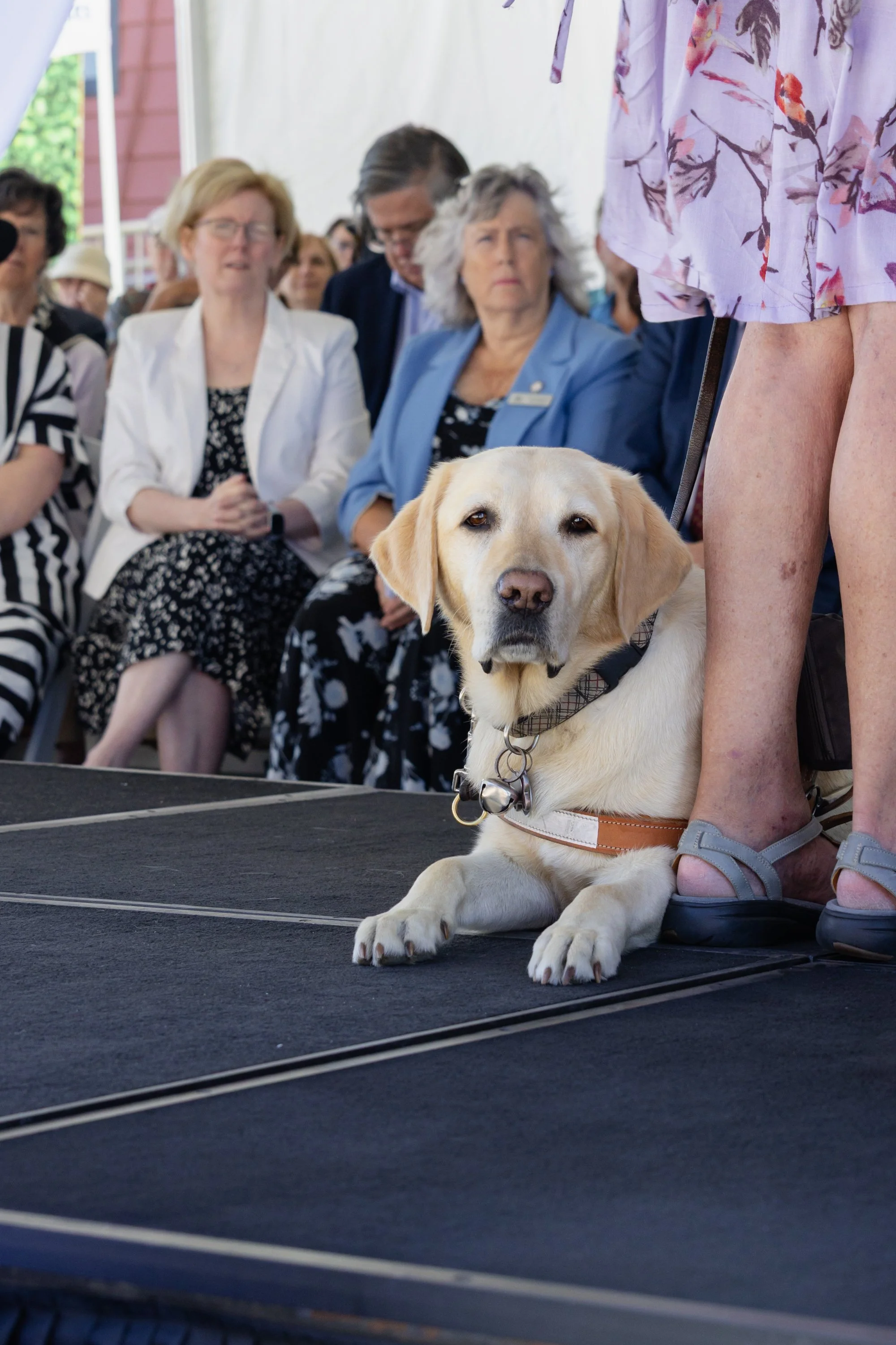 BC-Alberta Guide Dogs-181.jpg