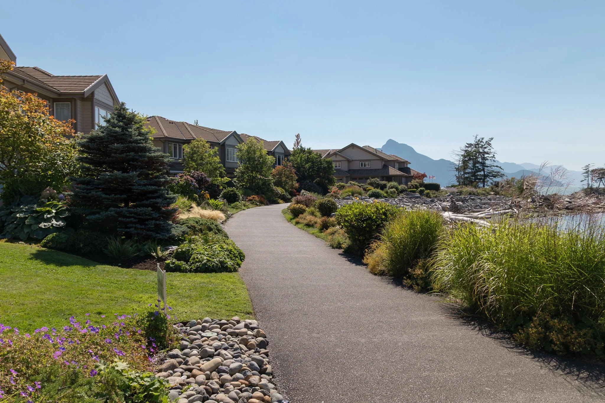 SOLscapes-1.jpg