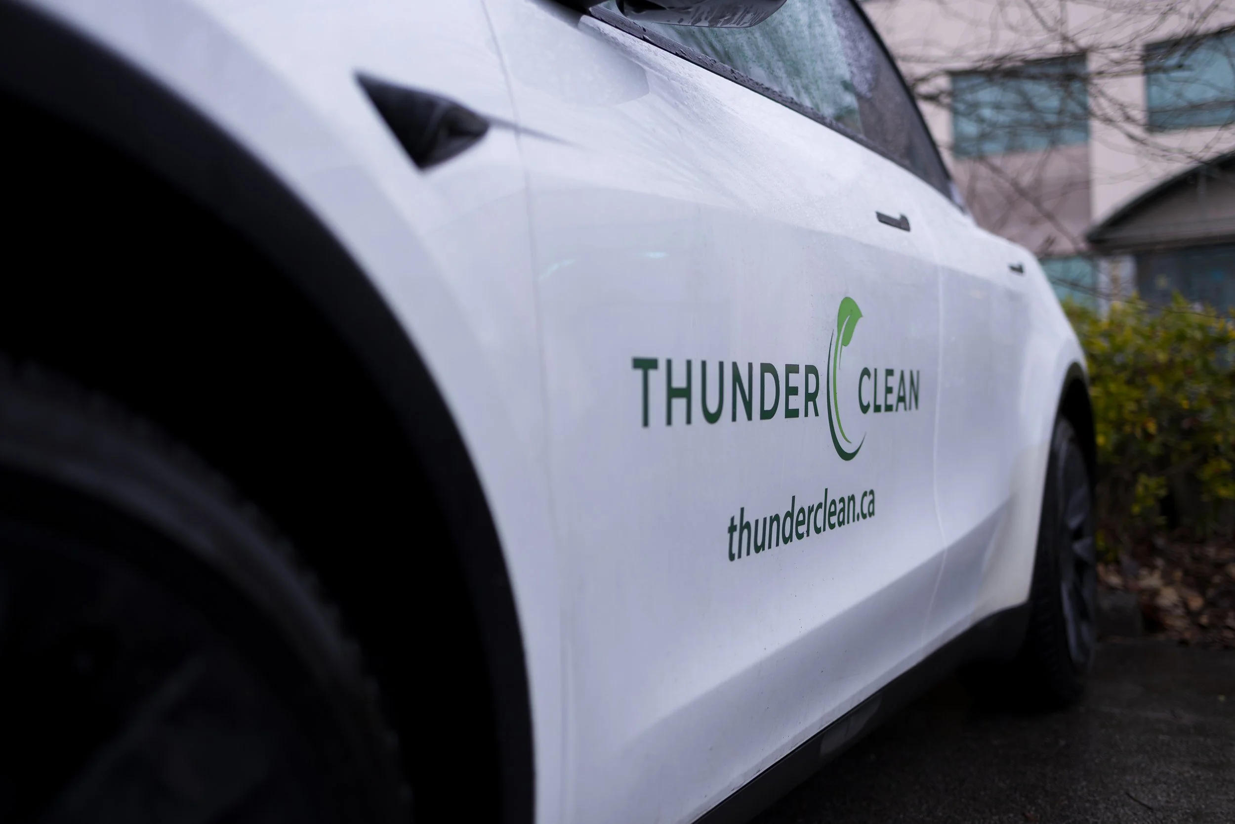 Thunder Clean, 2026-08.jpg