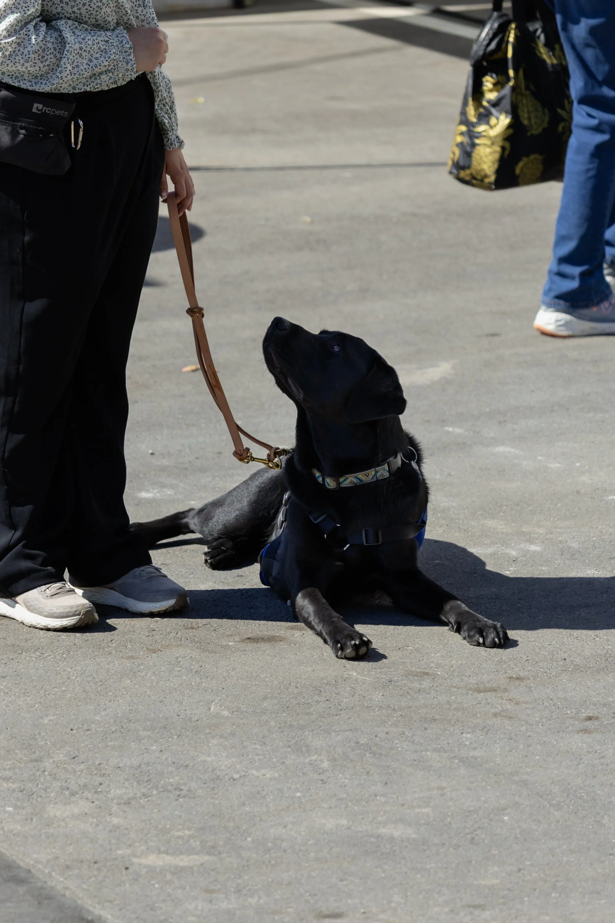 BC-Alberta Guide Dogs-118.jpg