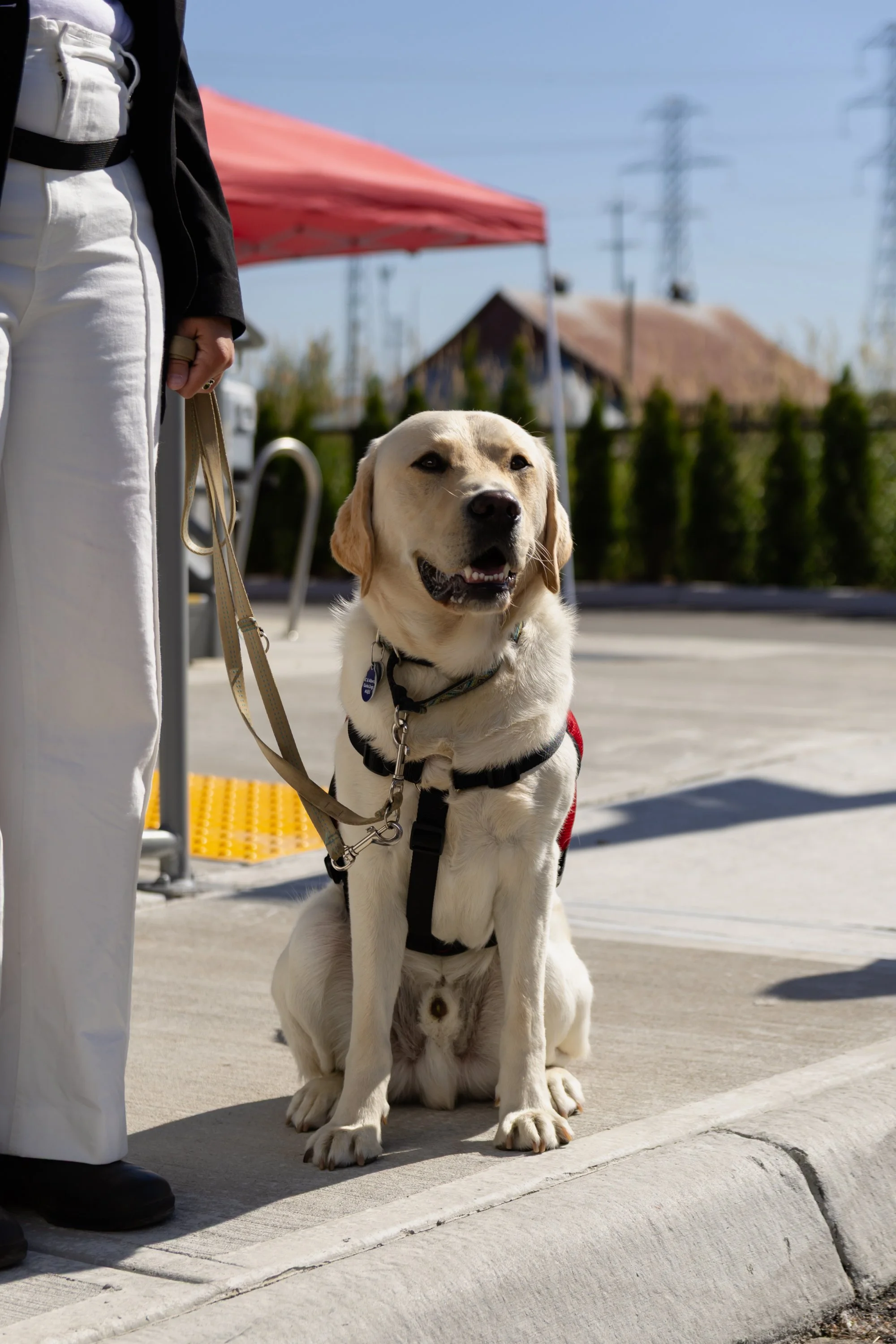 BC-Alberta Guide Dogs-86.jpg
