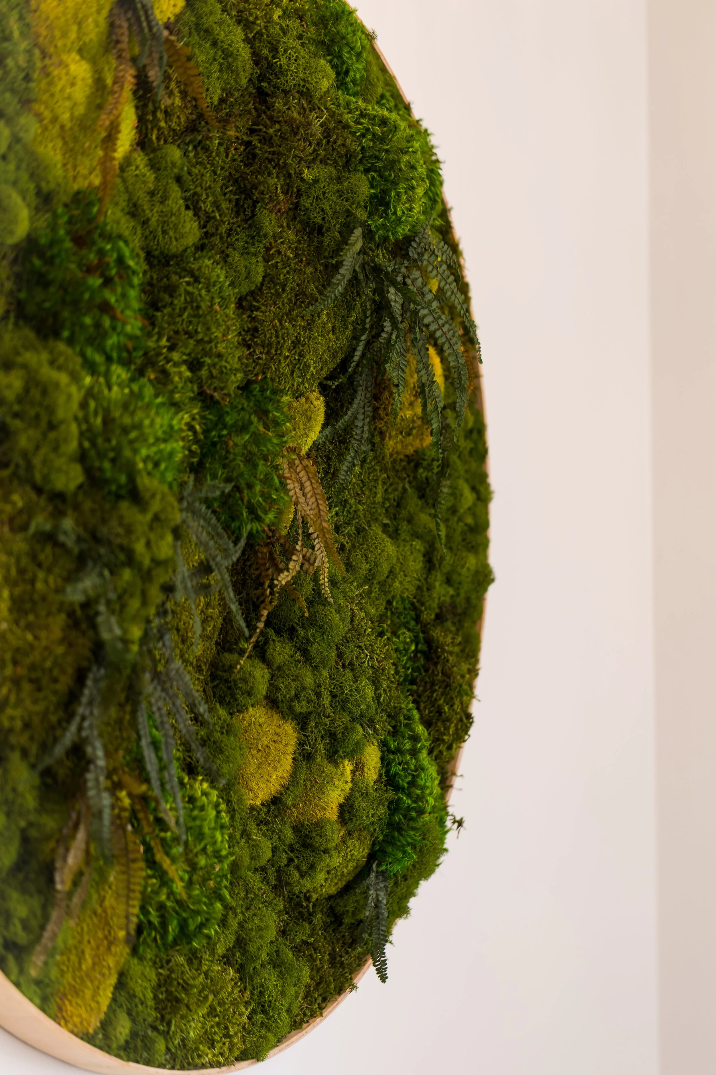 Silverspine Contracting, Location 4-24.jpg