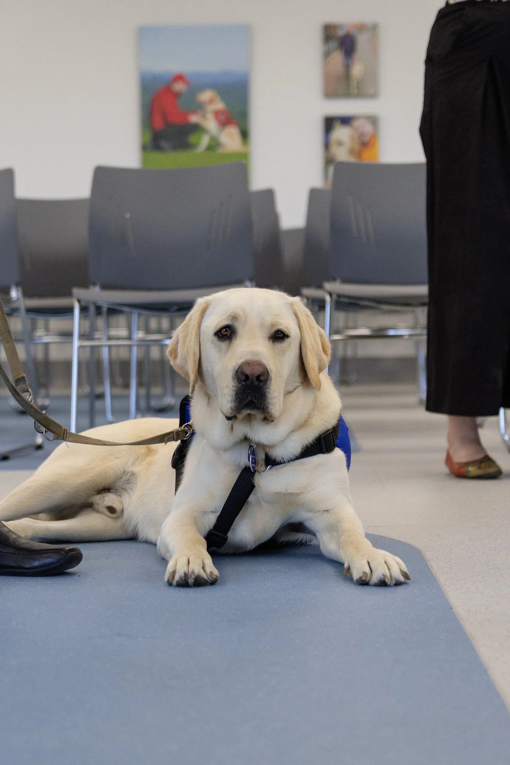 BC-Alberta Guide Dogs-52.jpg
