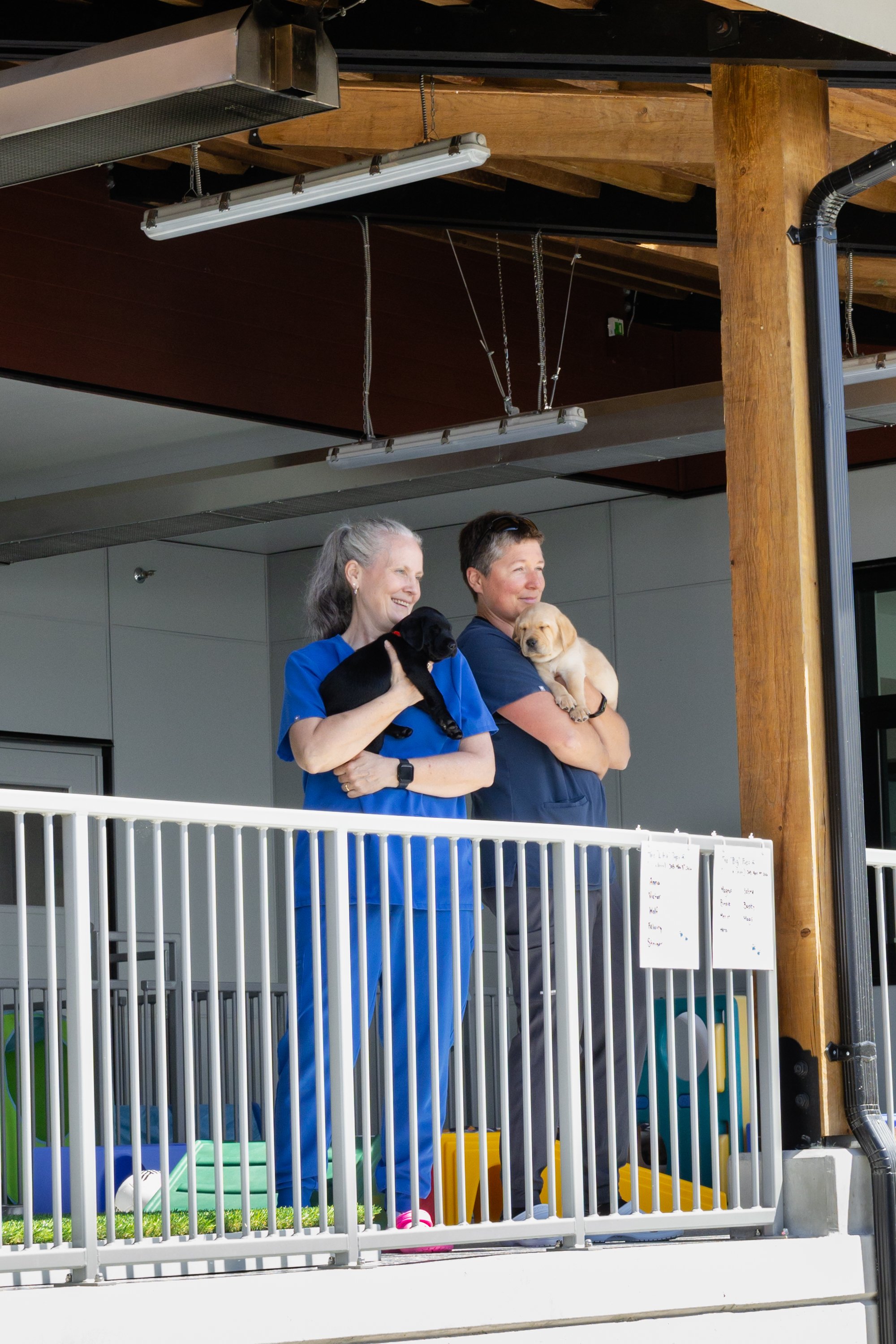 BC-Alberta Guide Dogs-211.jpg