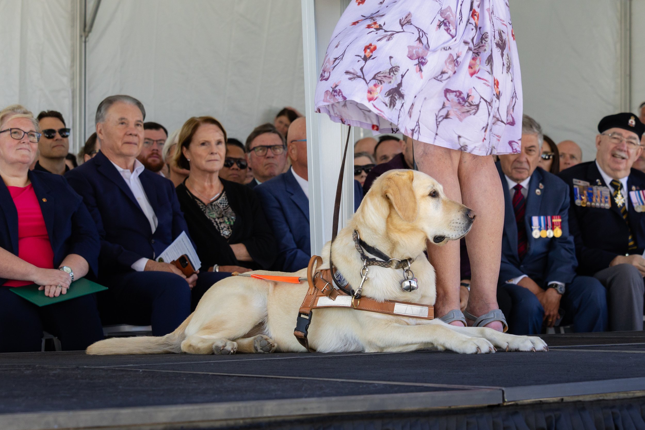 BC-Alberta Guide Dogs-179.jpg