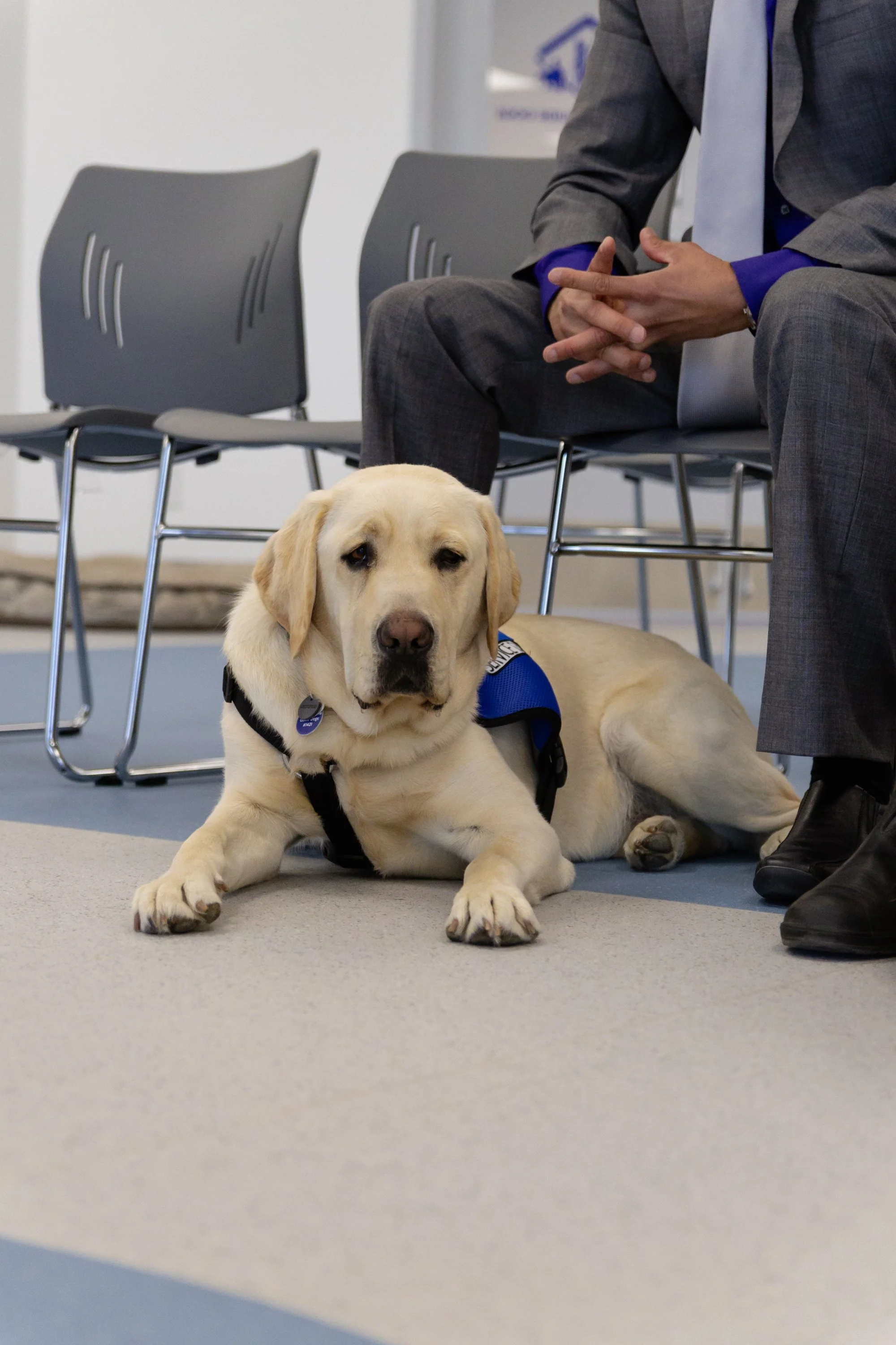 BC-Alberta Guide Dogs-69.jpg