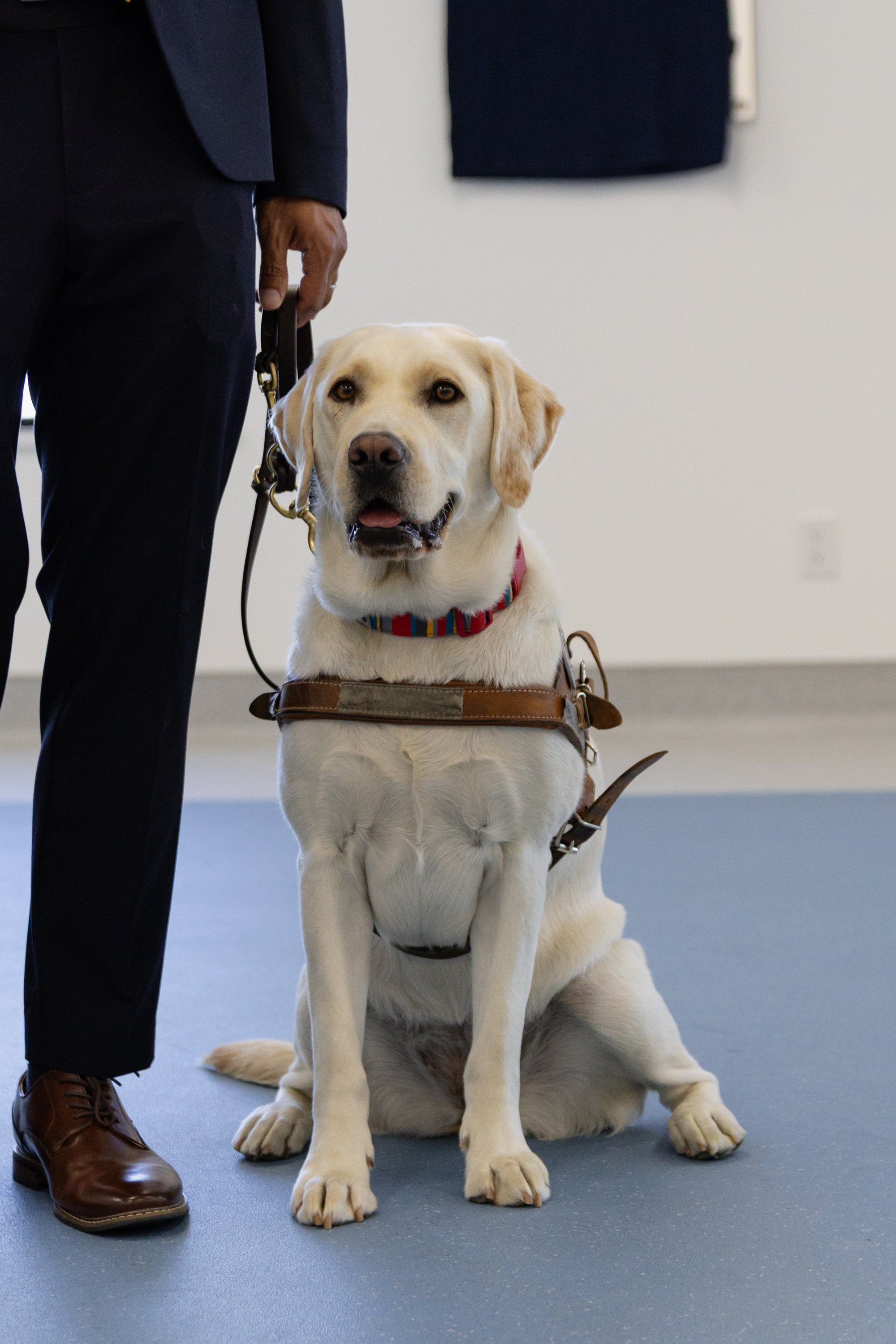 BC-Alberta Guide Dogs-49.jpg
