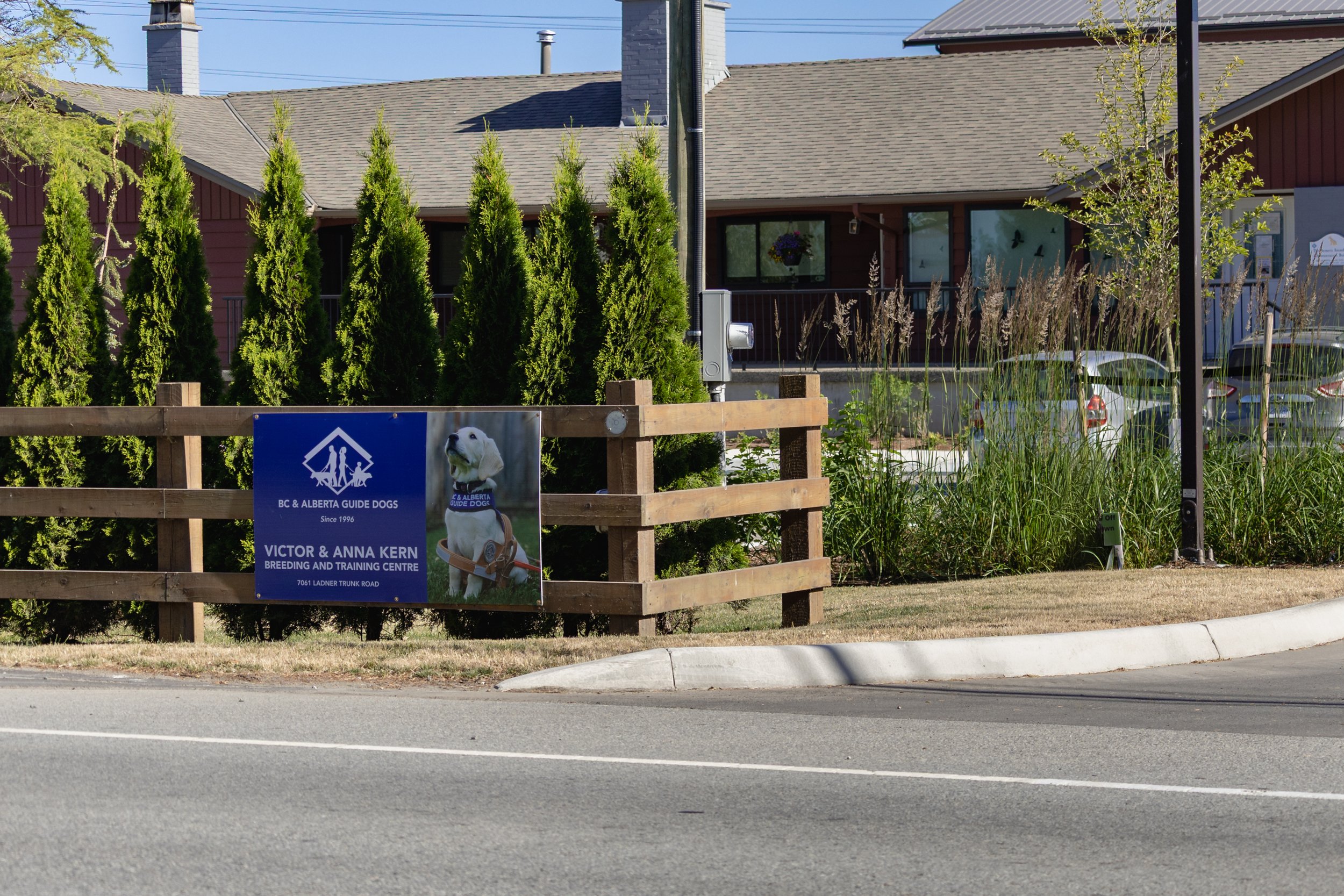 BC-Alberta Guide Dogs-56.jpg